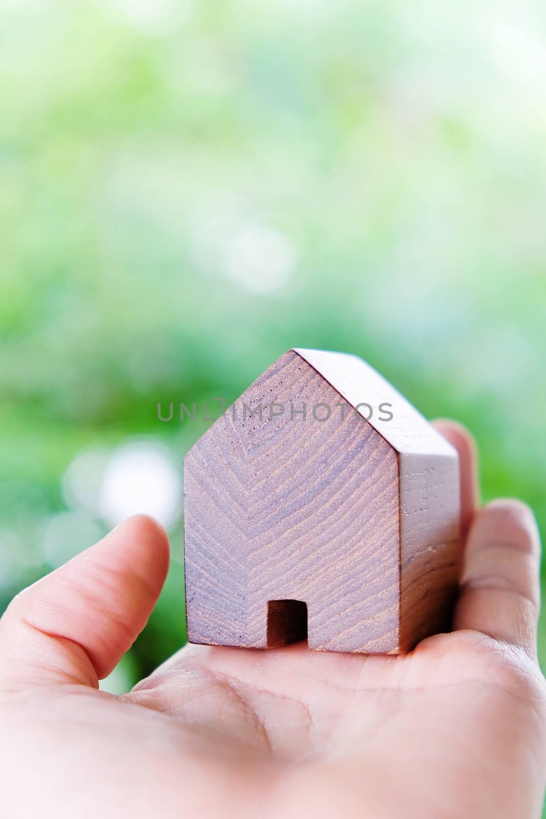 hand holding icon house, my dream house concept