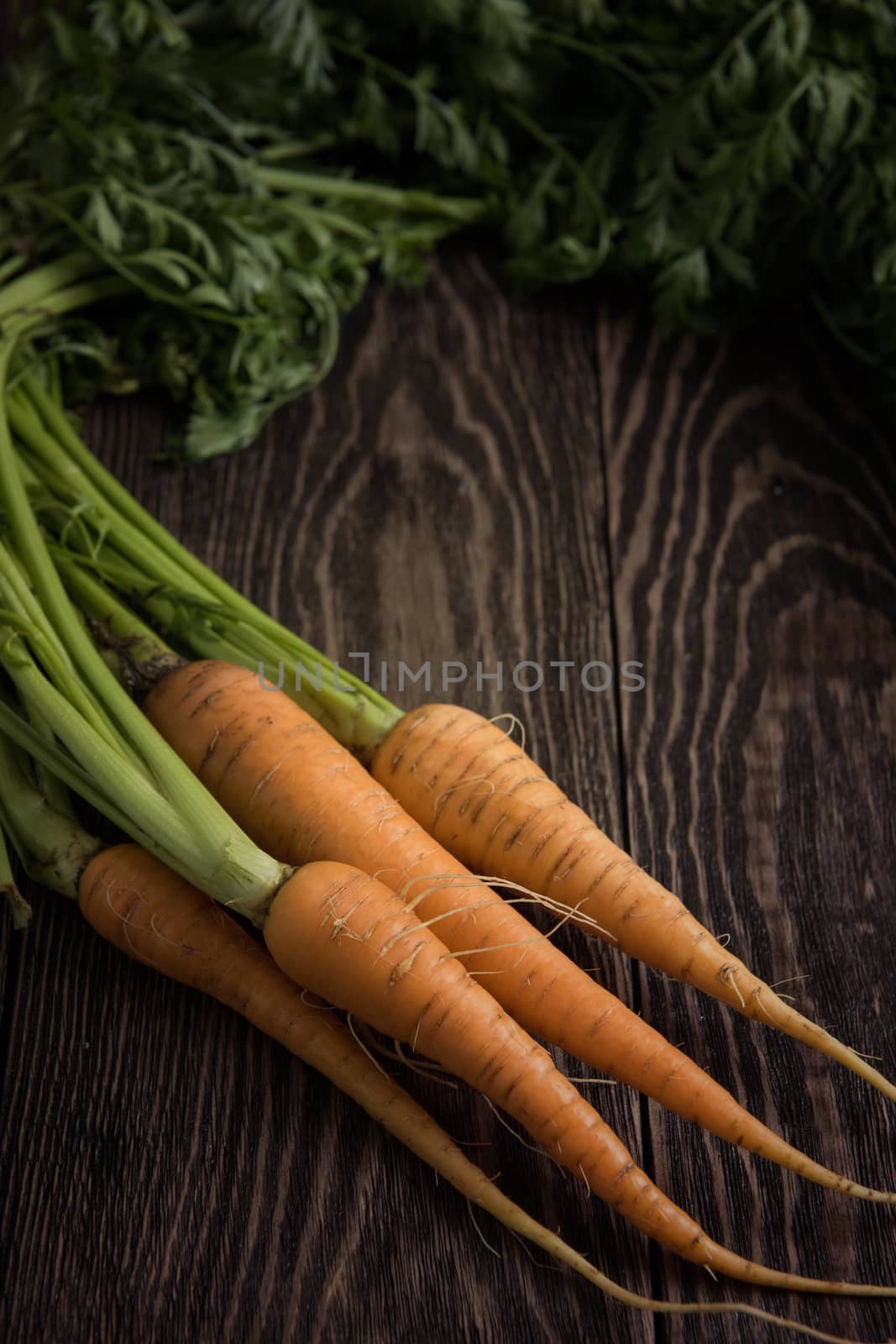 Freshly grown carrots on wooden table