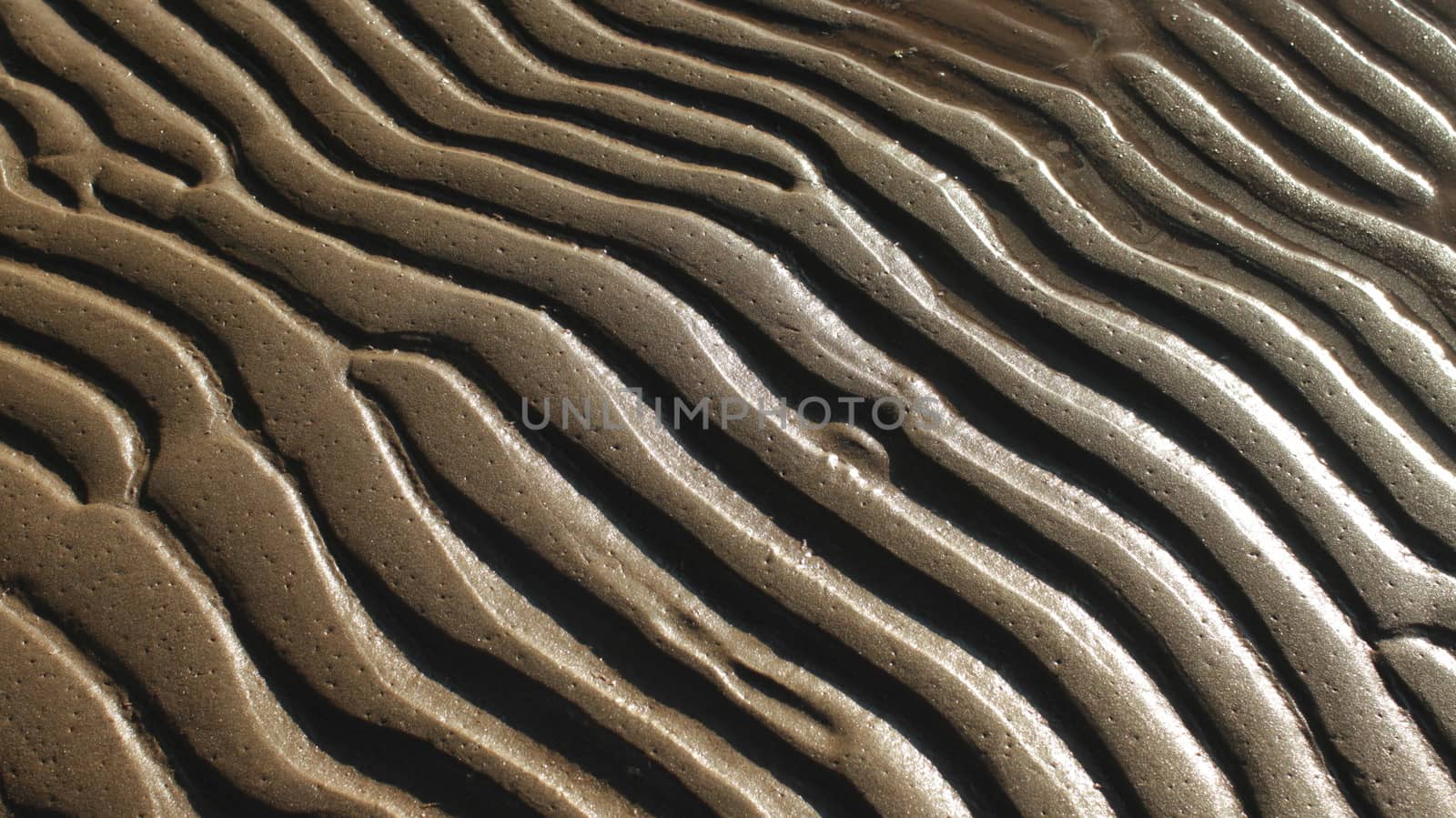 sand wavy pattern abstract  background