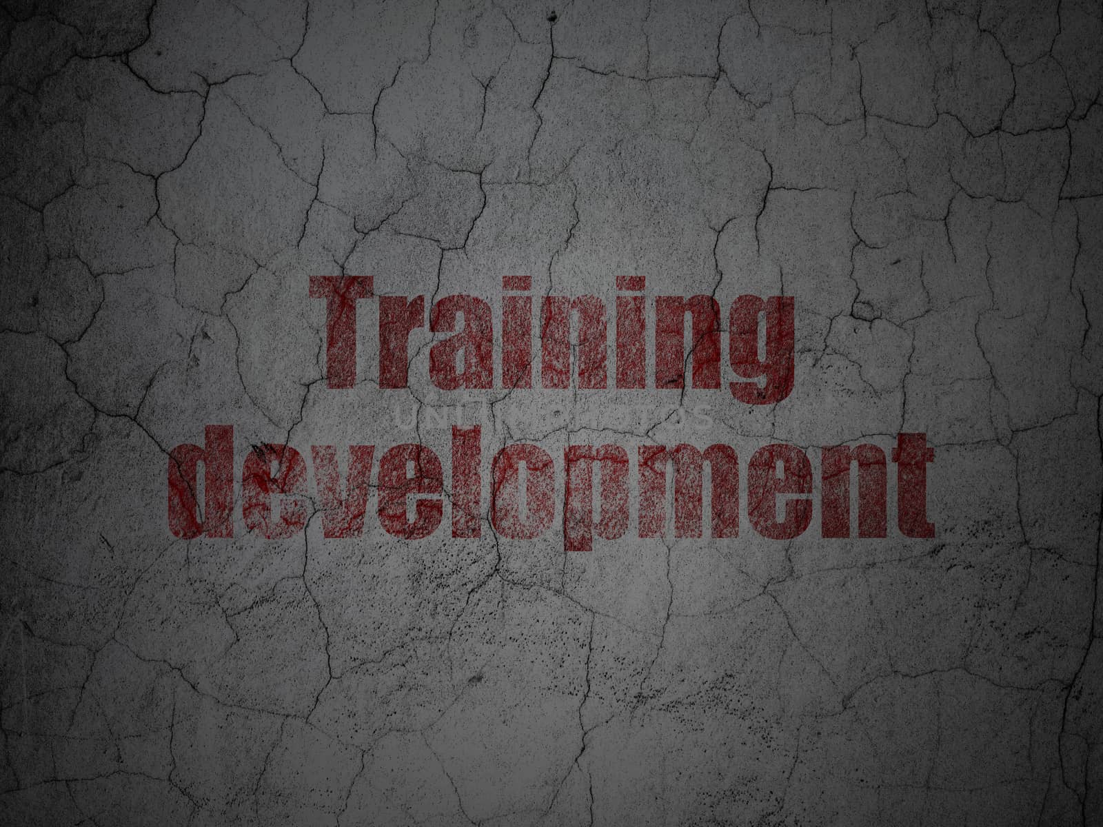 Learning concept: Red Training Development on grunge textured concrete wall background