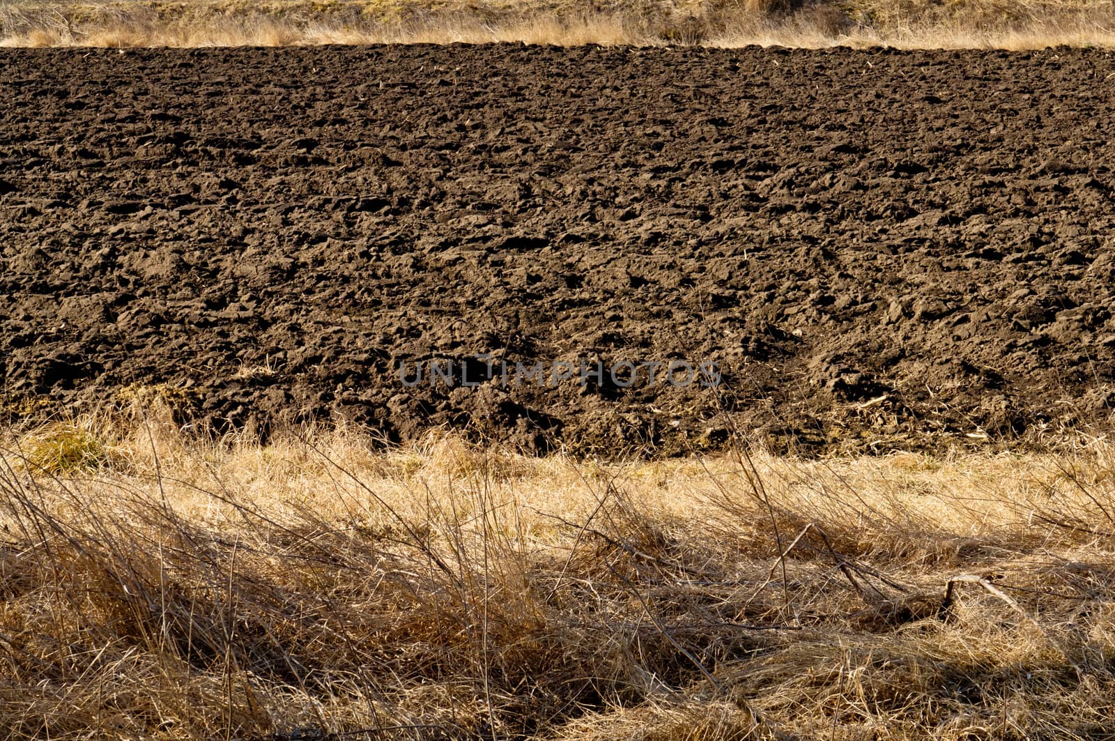 Plowed black soil in agricultural field 