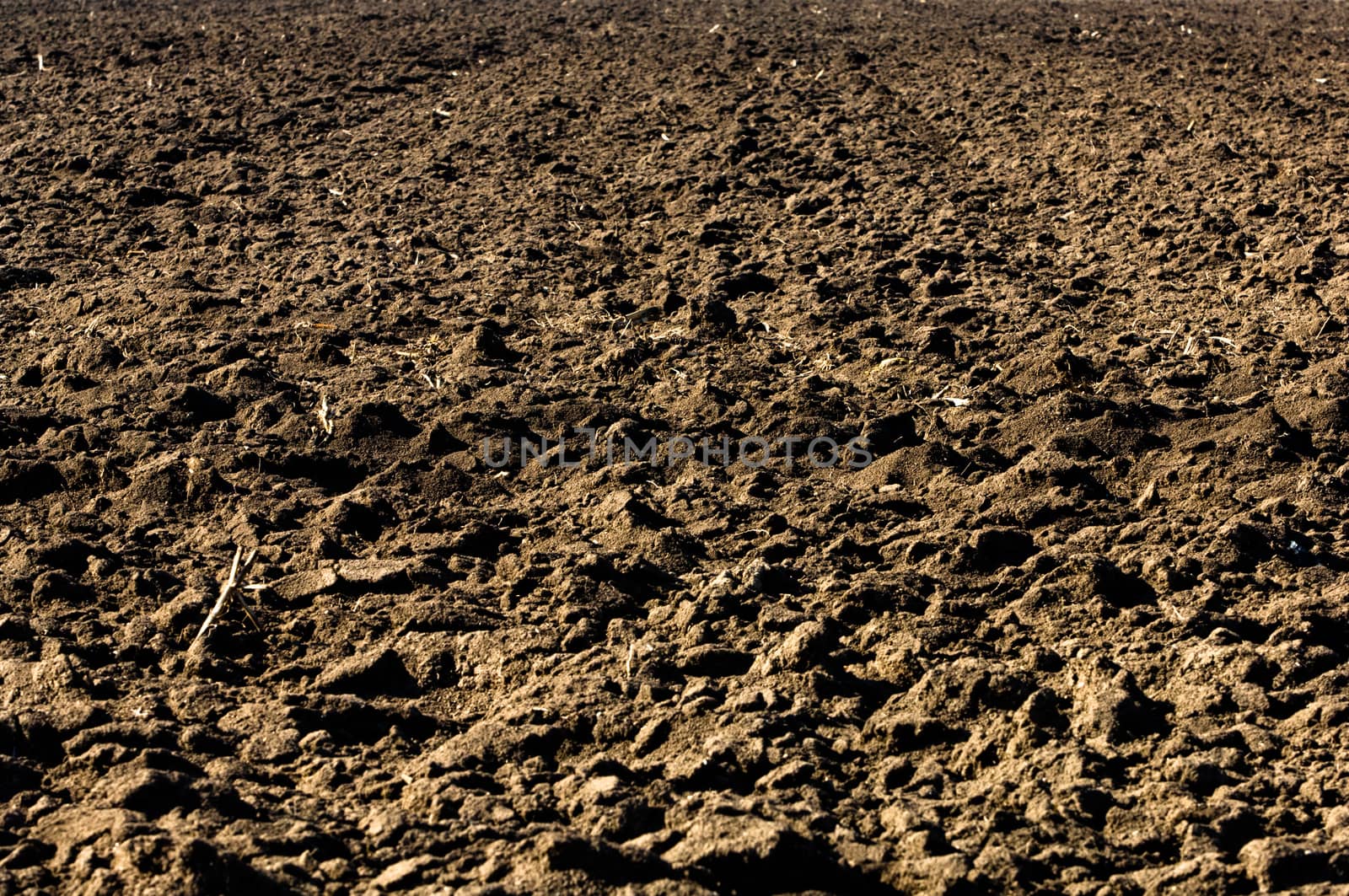 Plowed black soil in agricultural field 