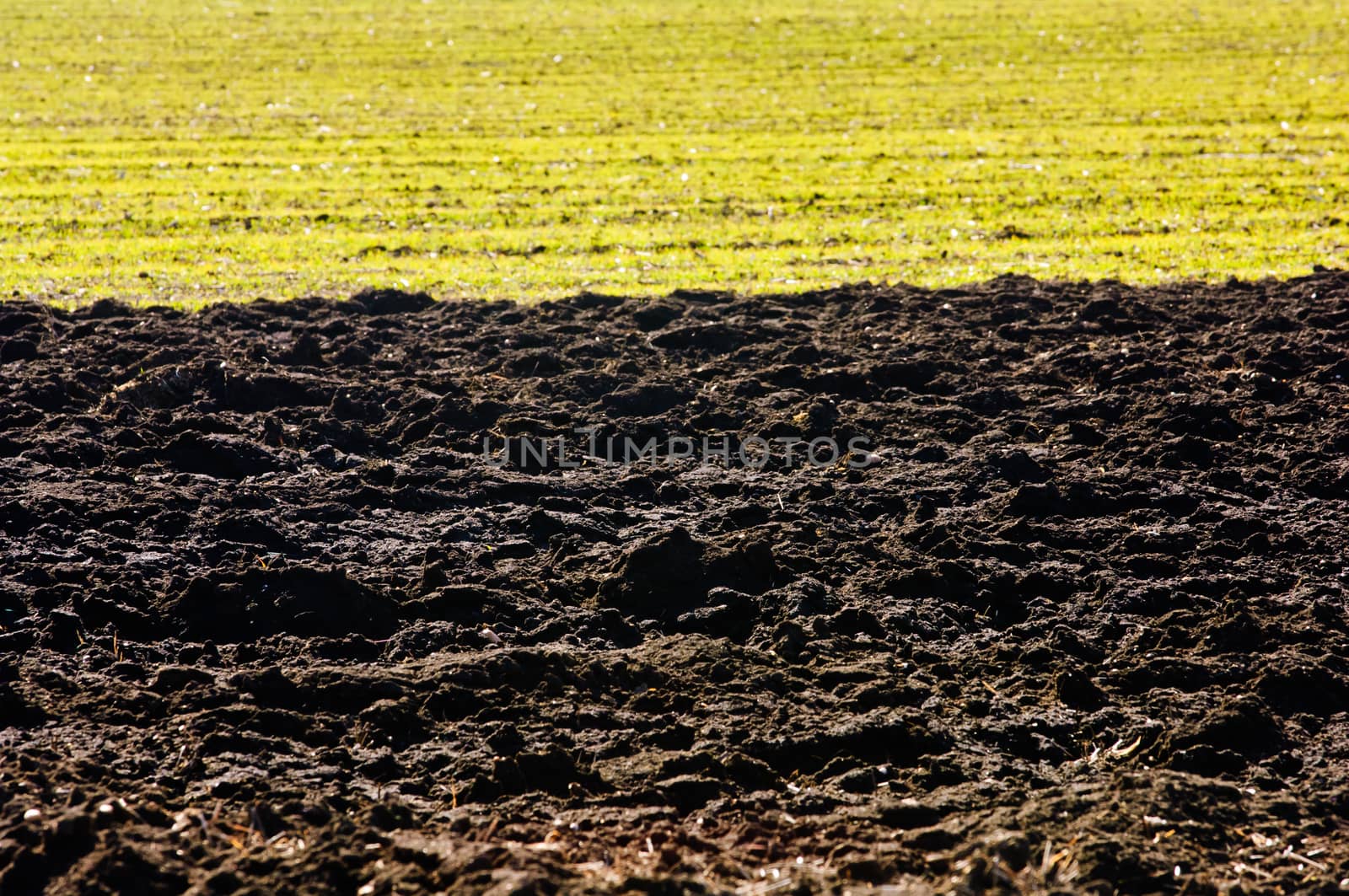 Ploughed soil in agricultural field arable land by horizonphoto