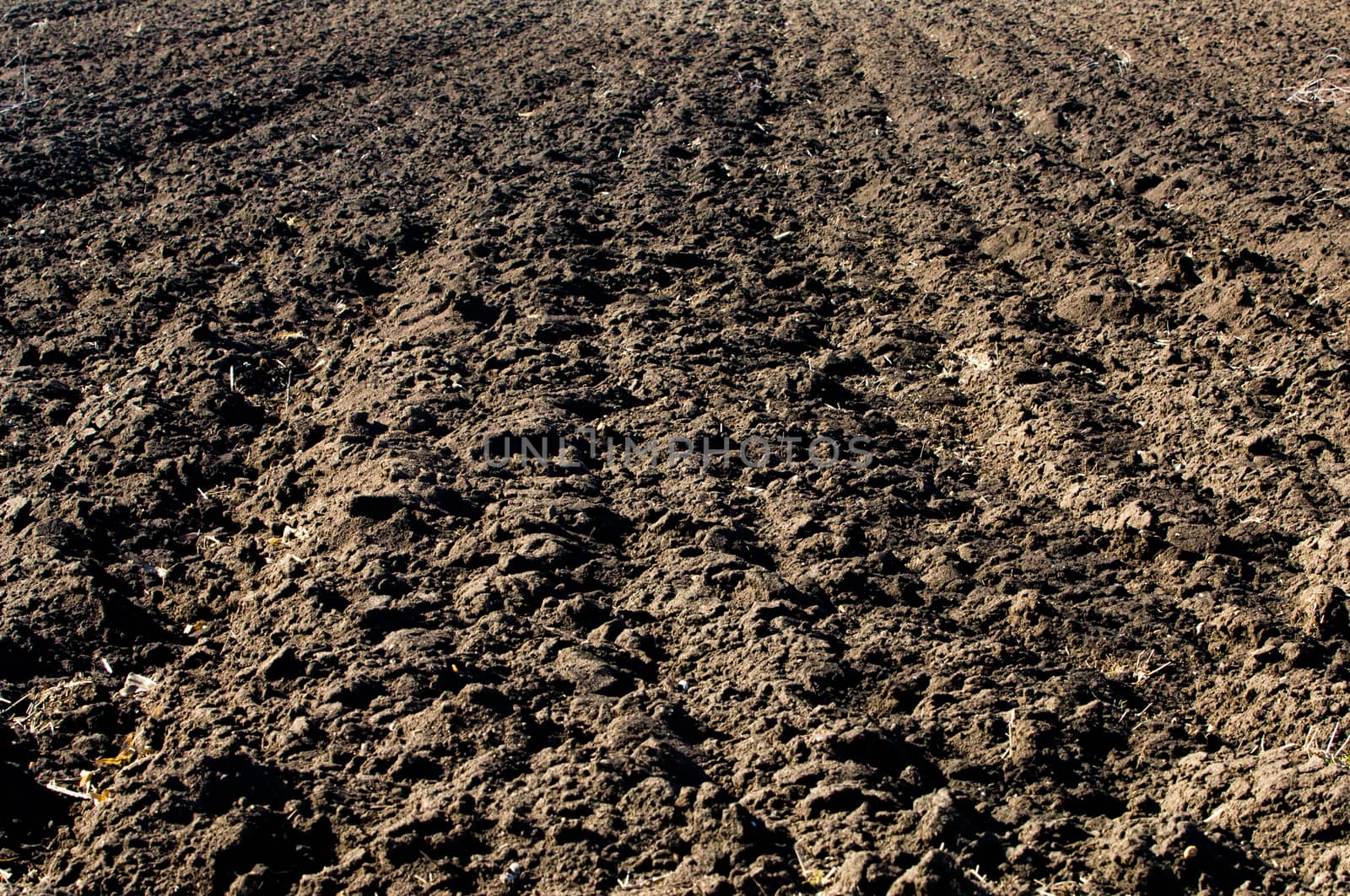 Ploughed soil in agricultural field arable land by horizonphoto
