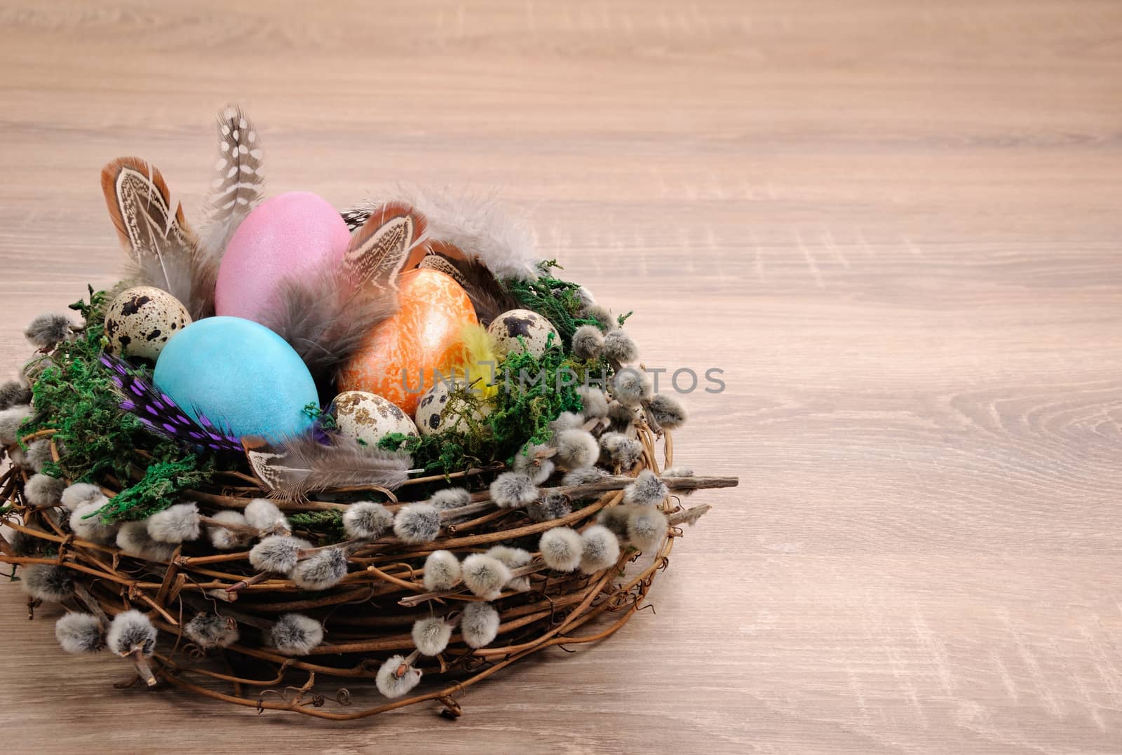 Decorations for Easter. Bird's nest with moss lined with feathers, colored eggs and willow branches