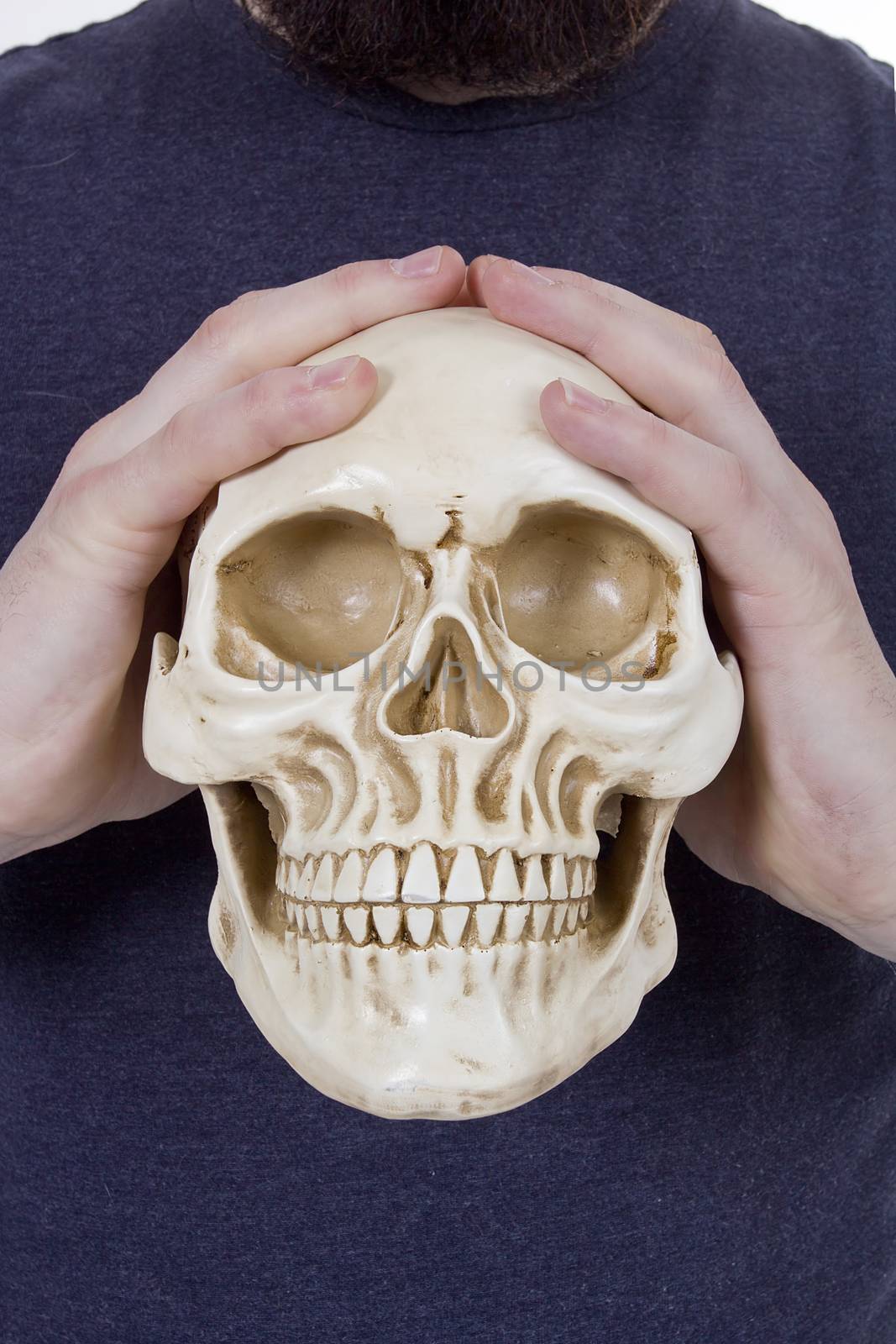 Human skull in human hands by VIPDesignUSA