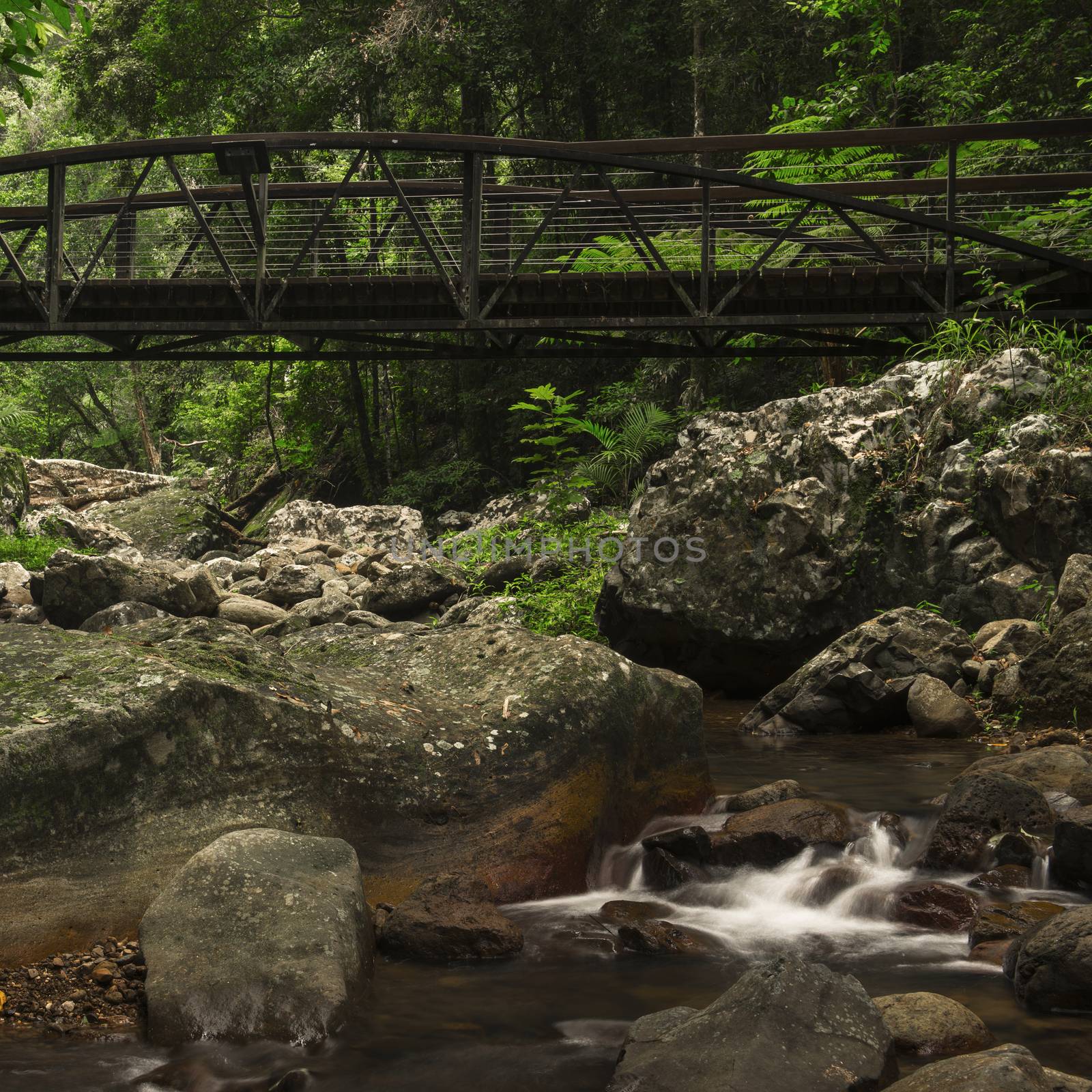 Natural Bridge Creek at Springbrook in Queensland. 