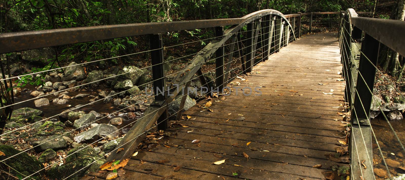 Natural Bridge Creek at Springbrook in Queensland.