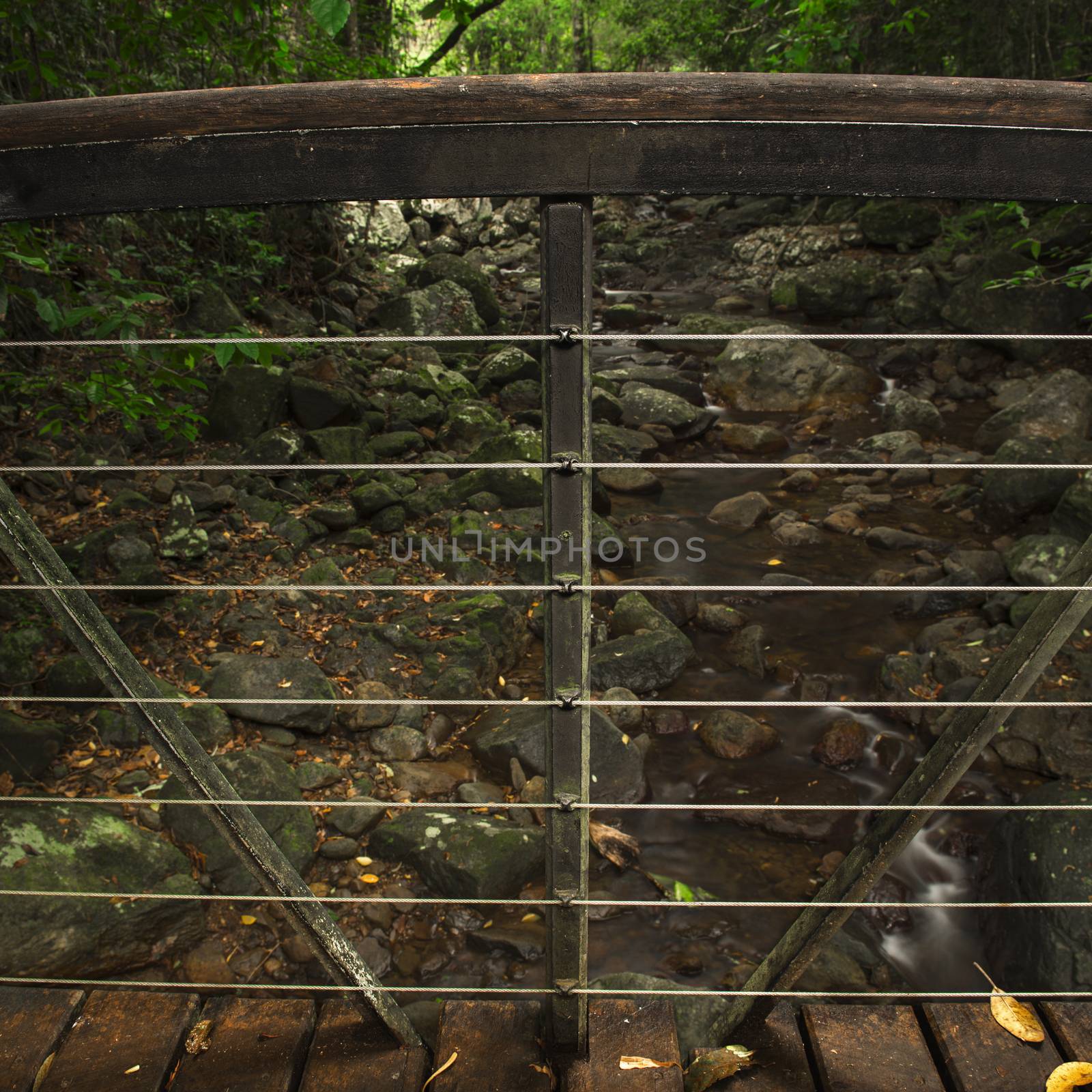 Natural Bridge Creek at Springbrook in Queensland.