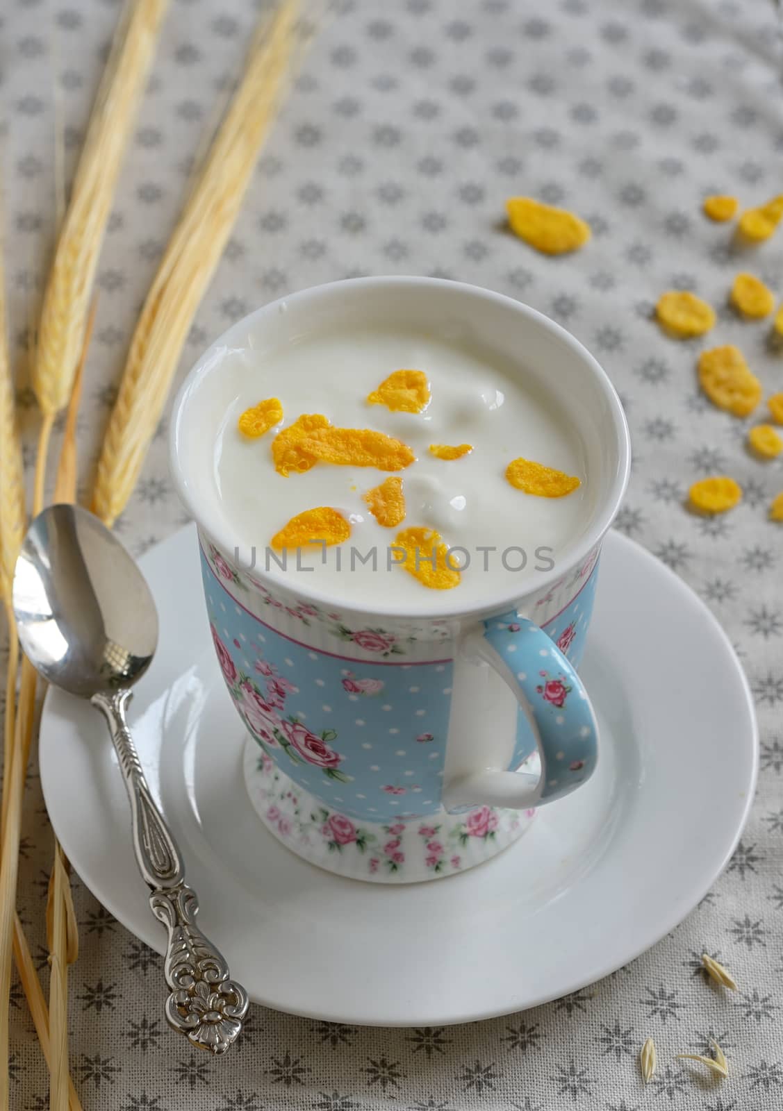 Cup of yogurt with crunchy cereals