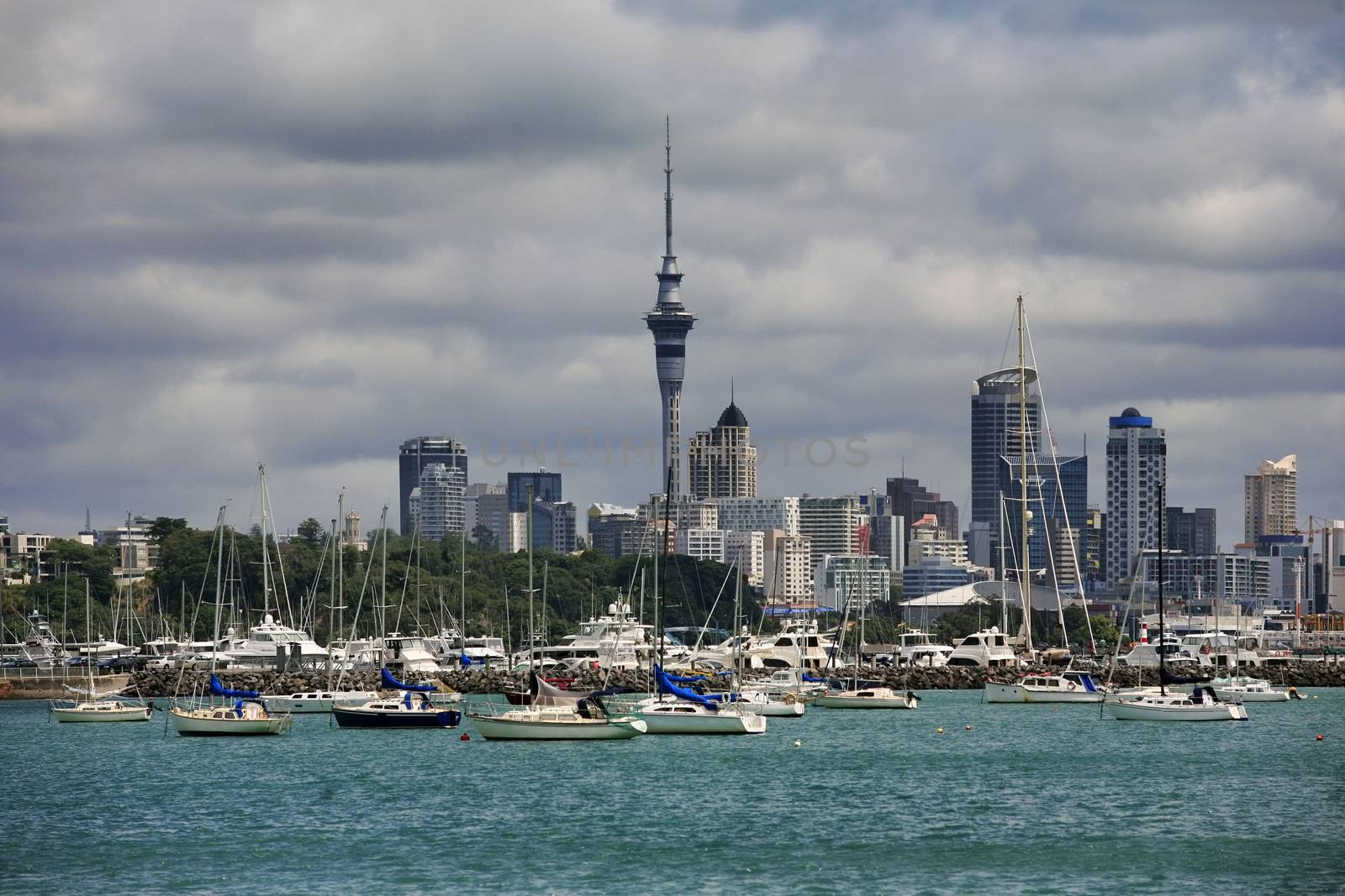 Waitemata Harbour Auckland Harbour View. North Island New Zealand