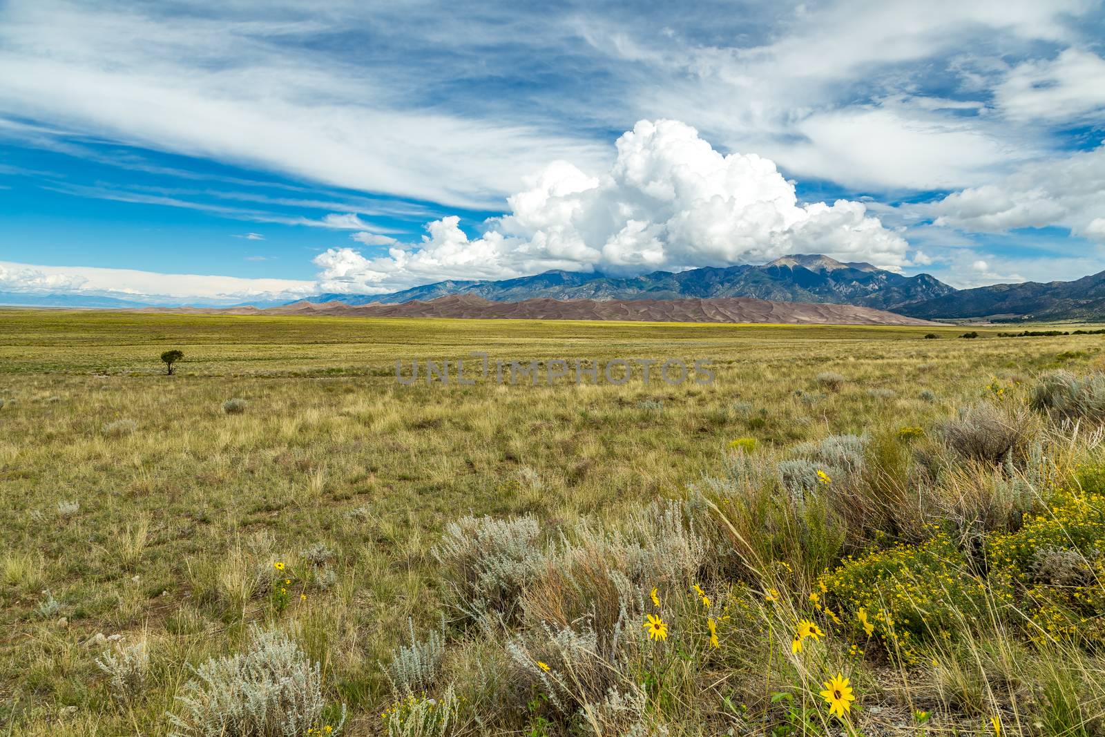 Great Sand Dunes National Park by adifferentbrian