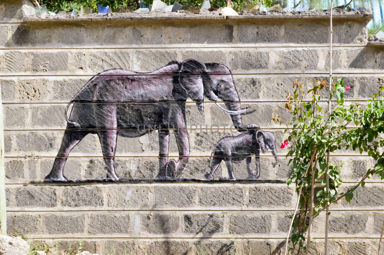 Elephant and his small drawing on a wall of raw blocks in the town of Bamburi in Kenya