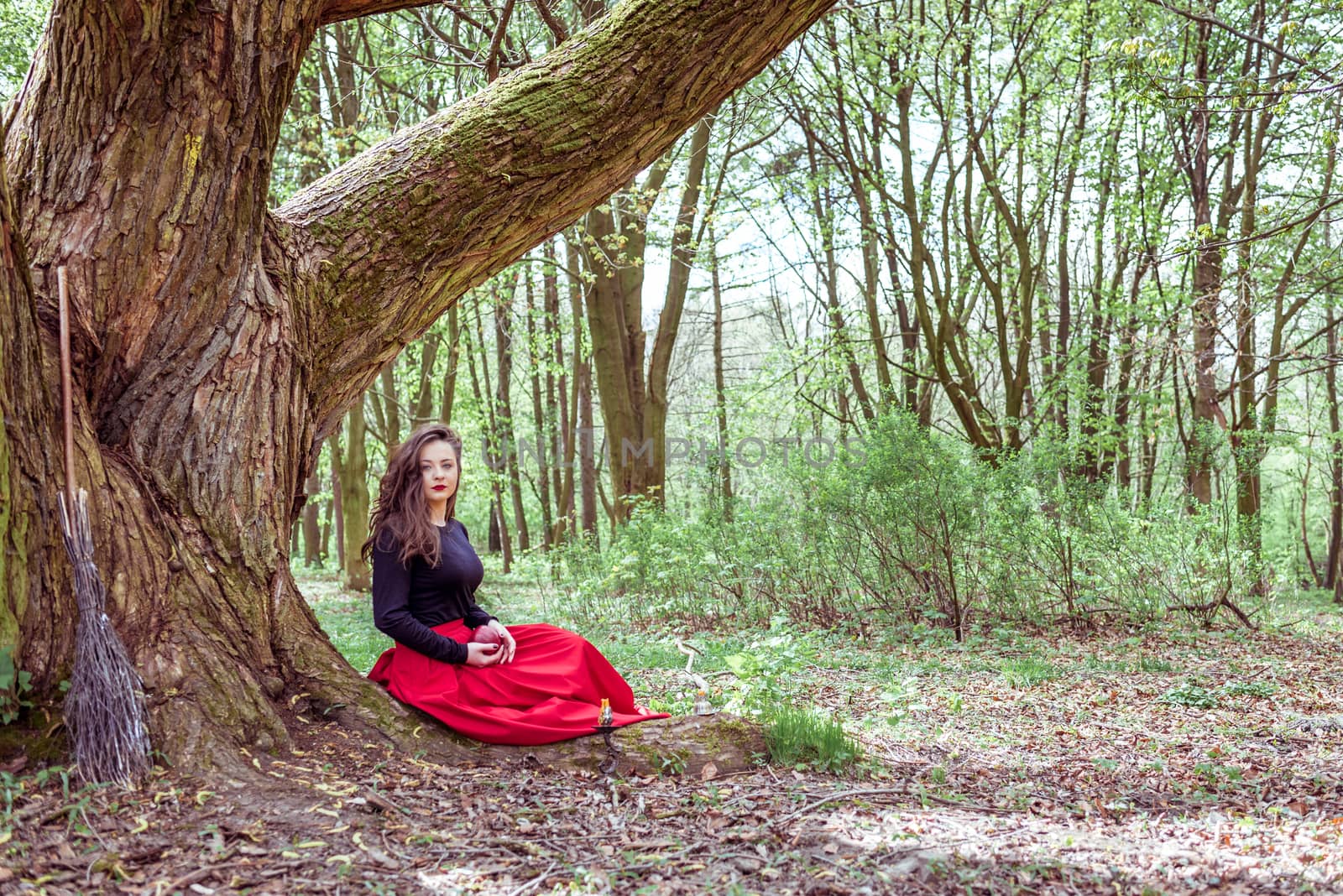 mystical witch woman sitting under a old tree in the forest