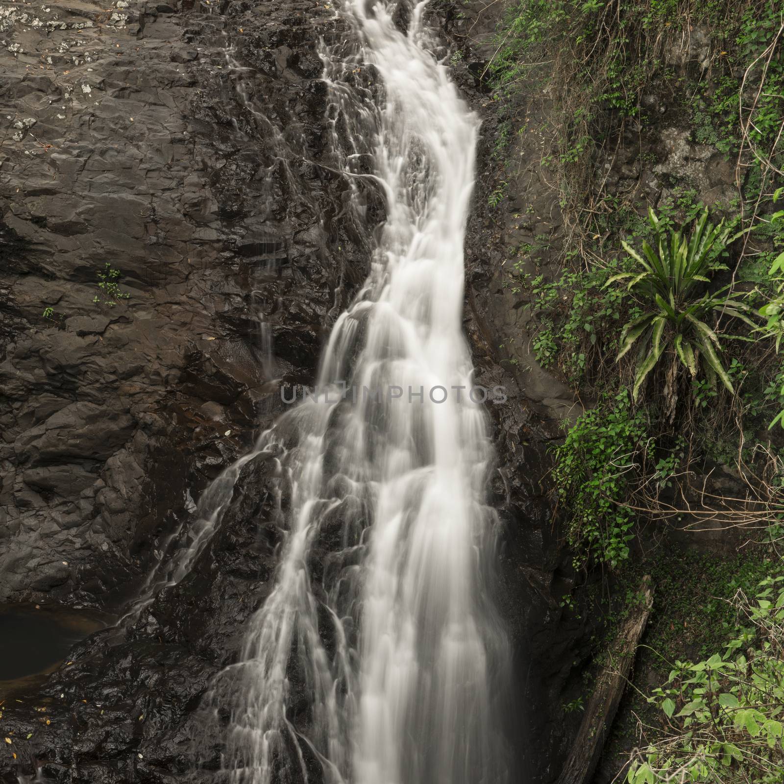 Natural Bridge Waterfall by artistrobd