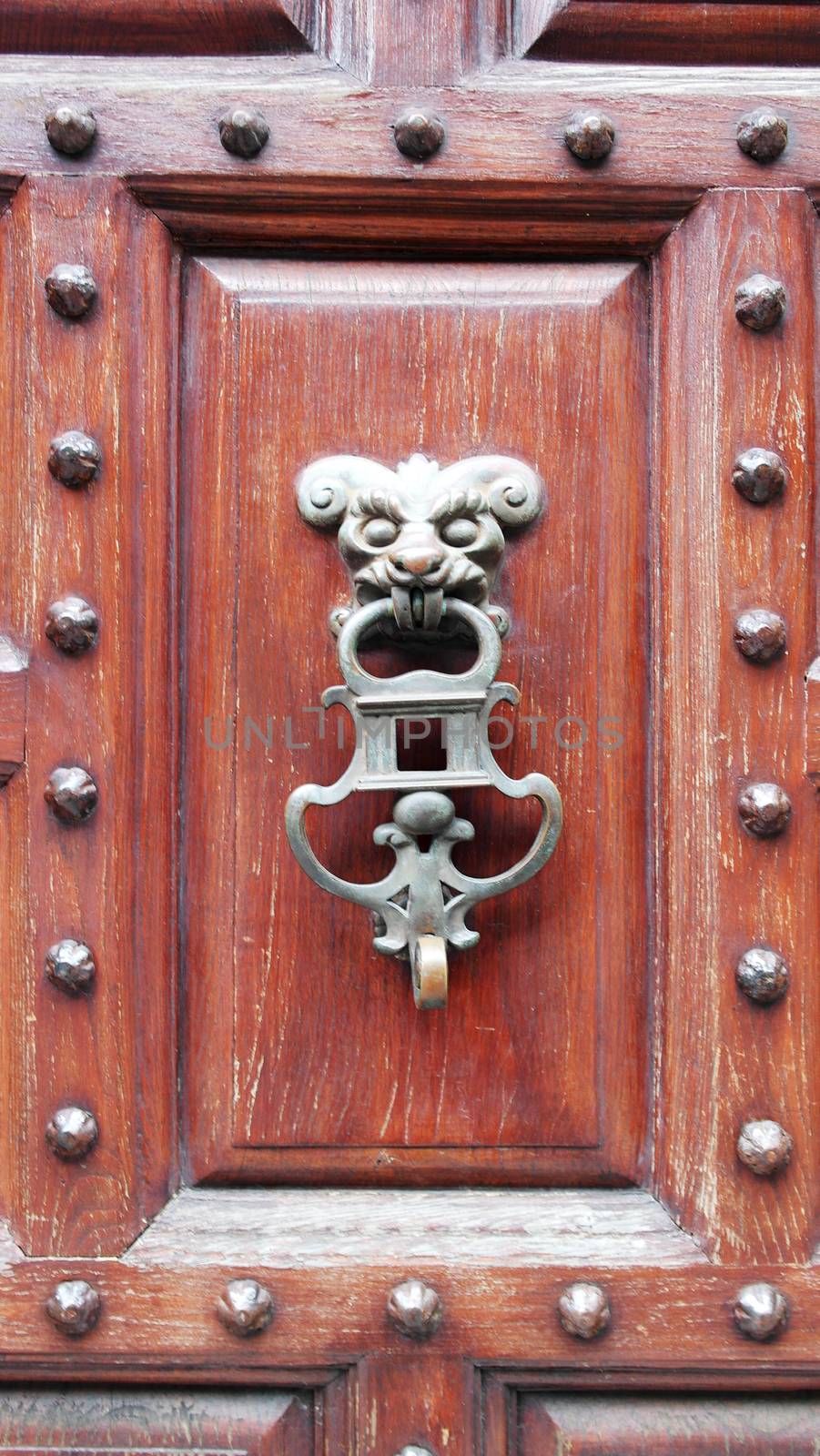 Detail of an old decorated wood door