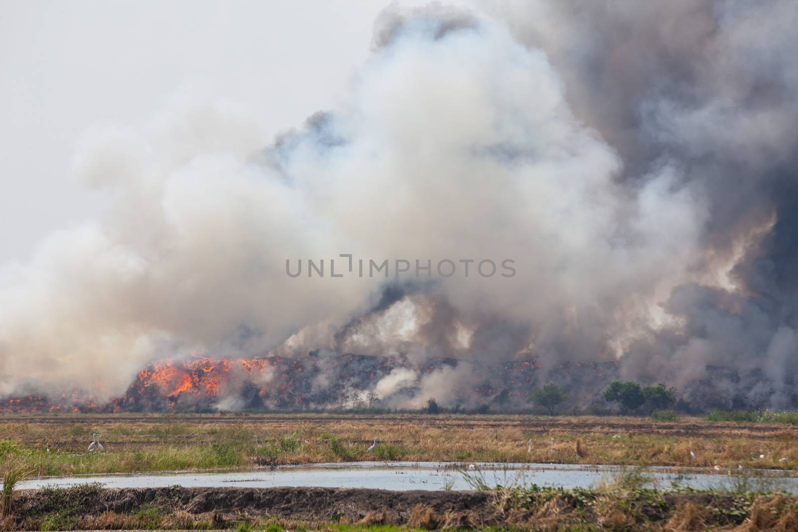 Burning garbage heap of smoke by witthaya
