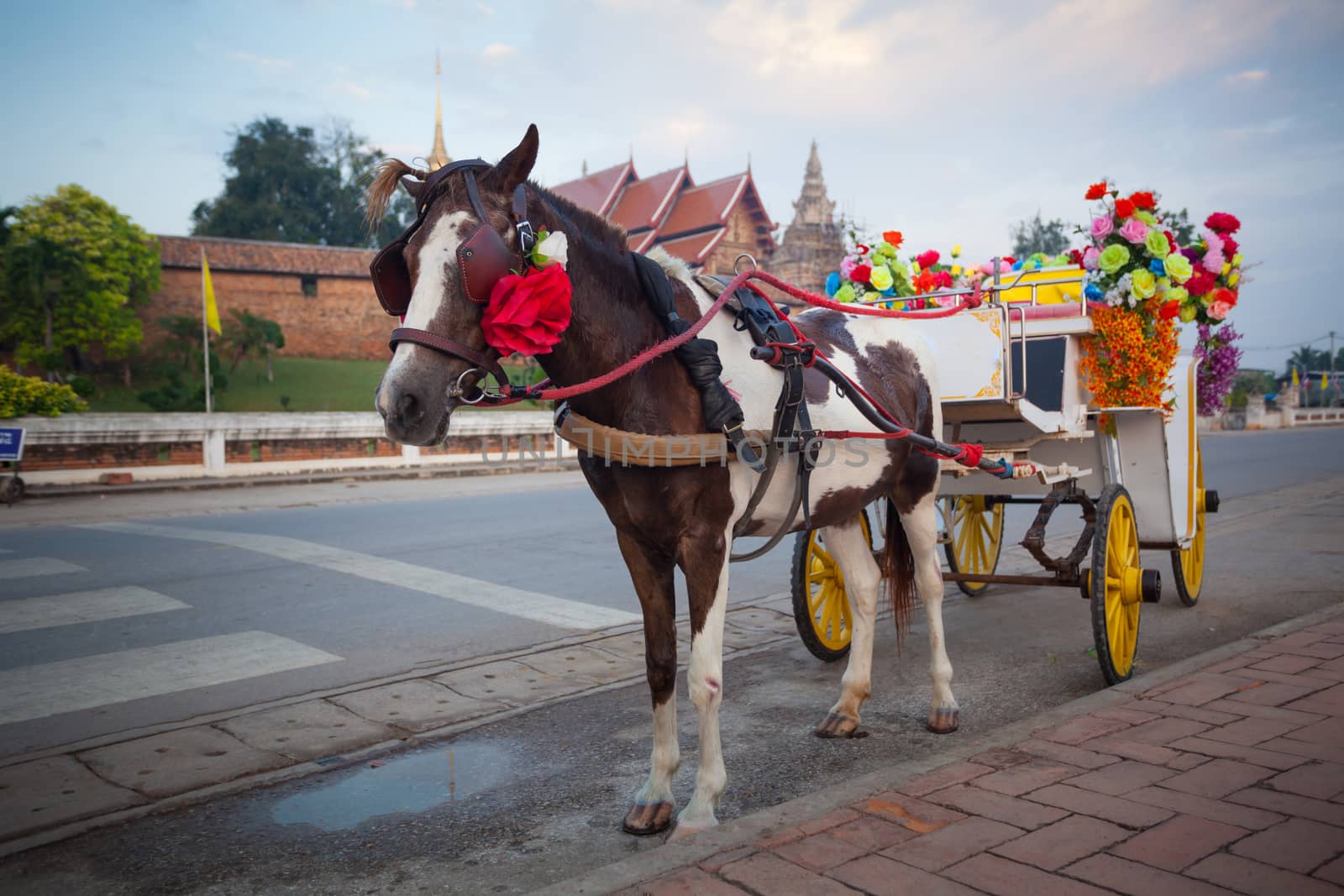 horse carriage in temple Phrathat Lampang Luang in Lampang, Thai by witthaya