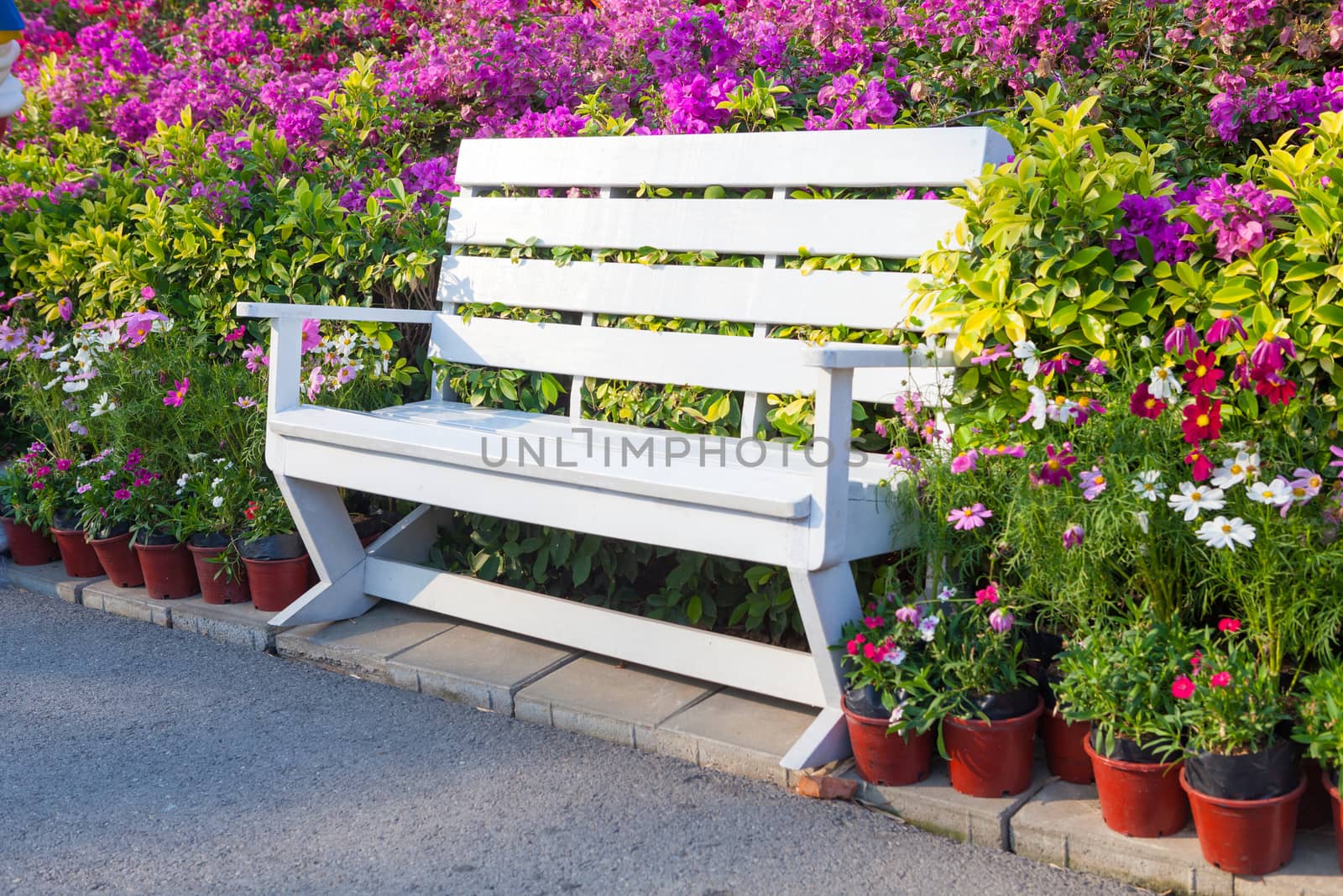 bench in the park with flower outdoor
