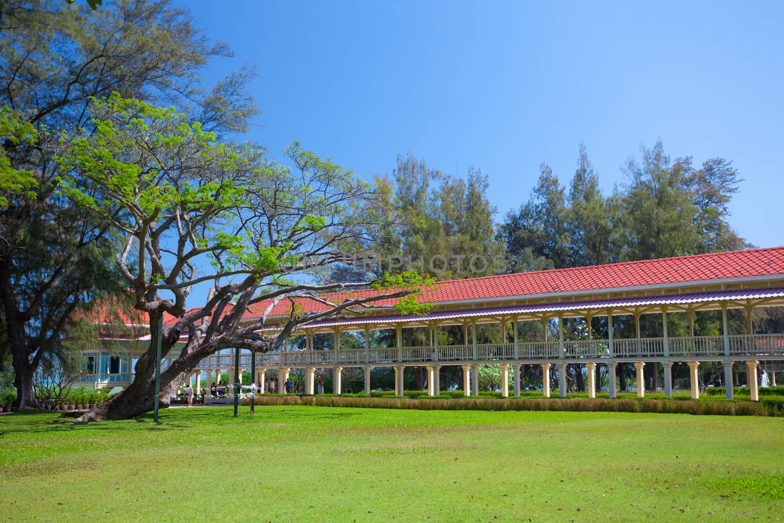 Pavilion and corridor on green grass with blue sky