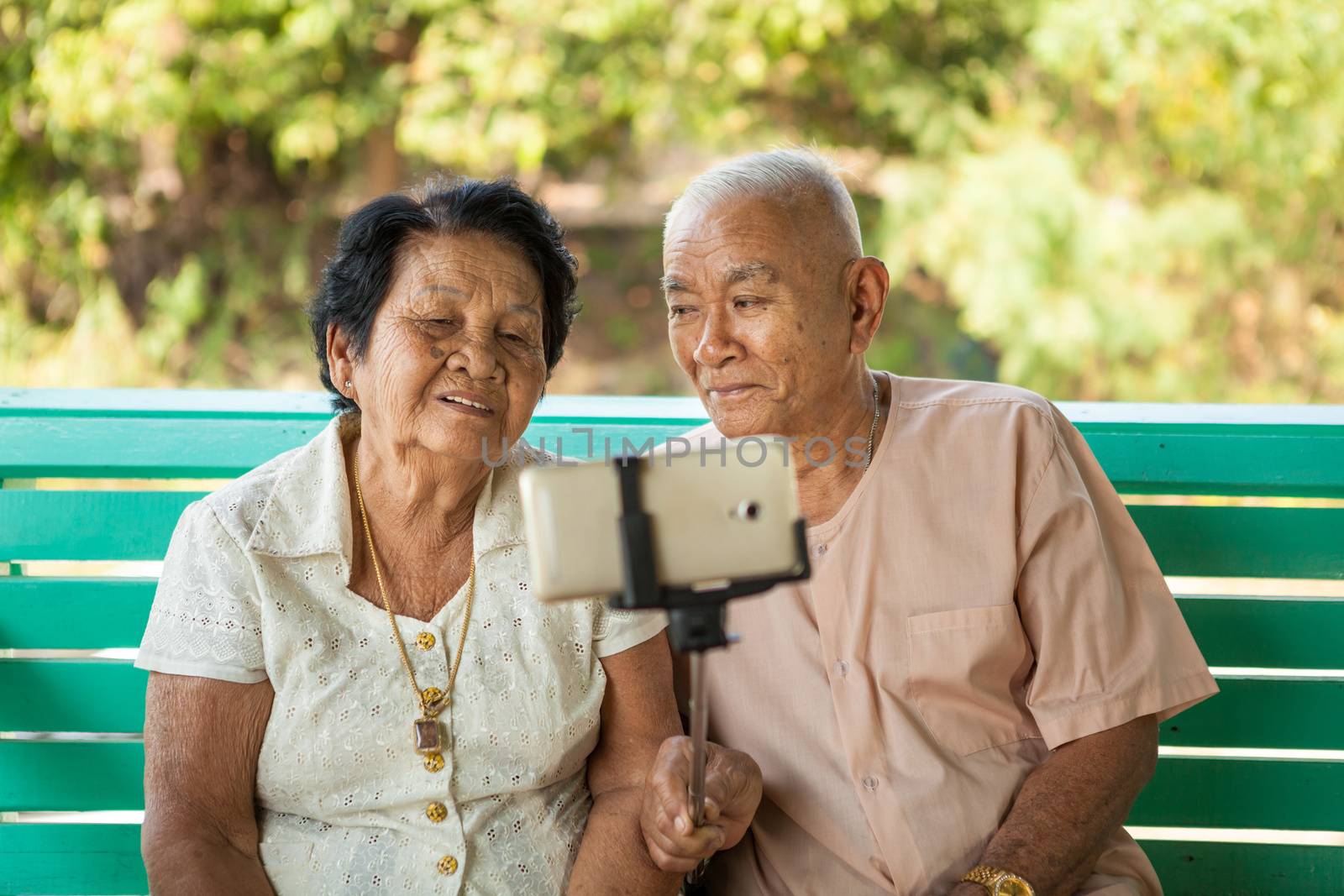 Happy senior couple posing for a selfie at home