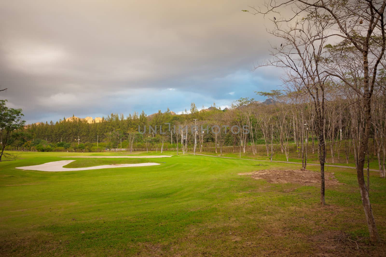 Perfect Green grass on a golf field with mountain at twilight