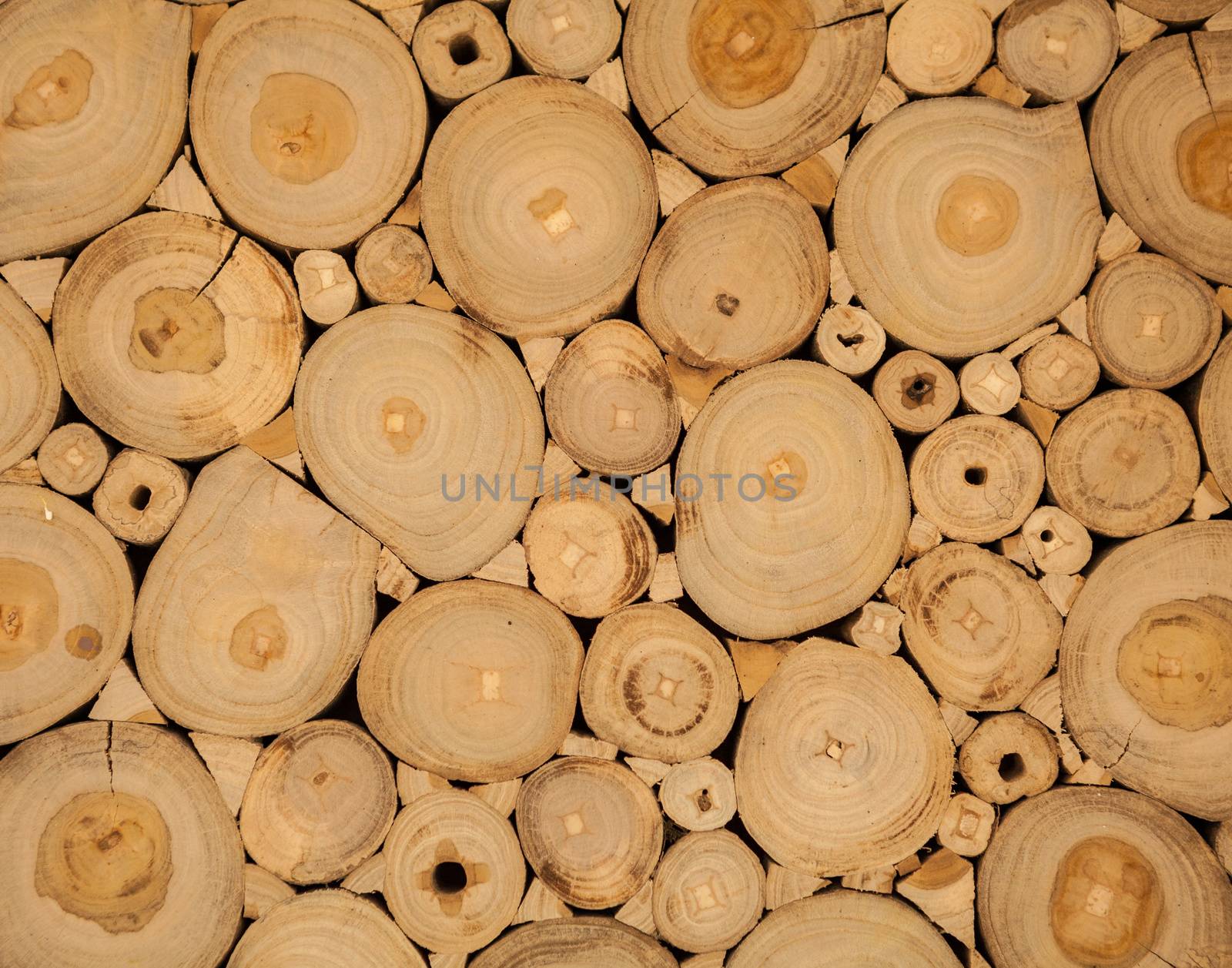 tree wood brown circle stumps as background