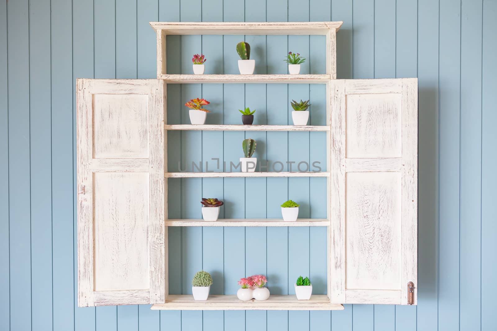 Window Flower box with beautiful flowers on blue wood background