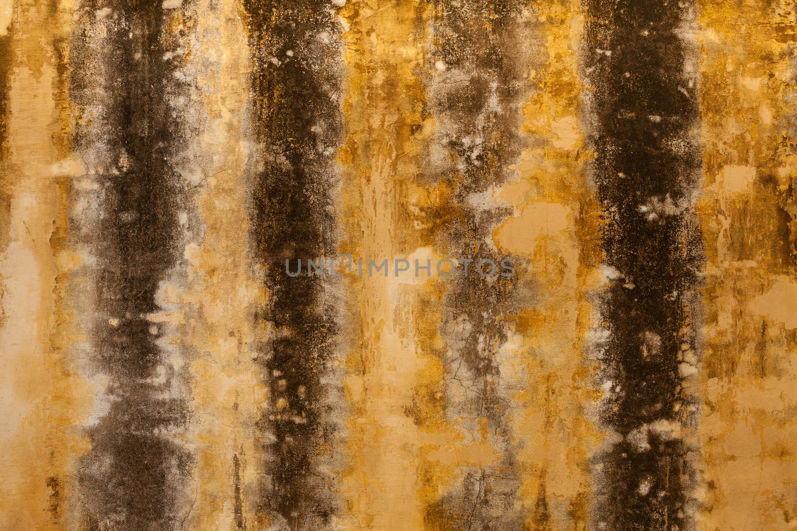 Texture of old grunge rust wall