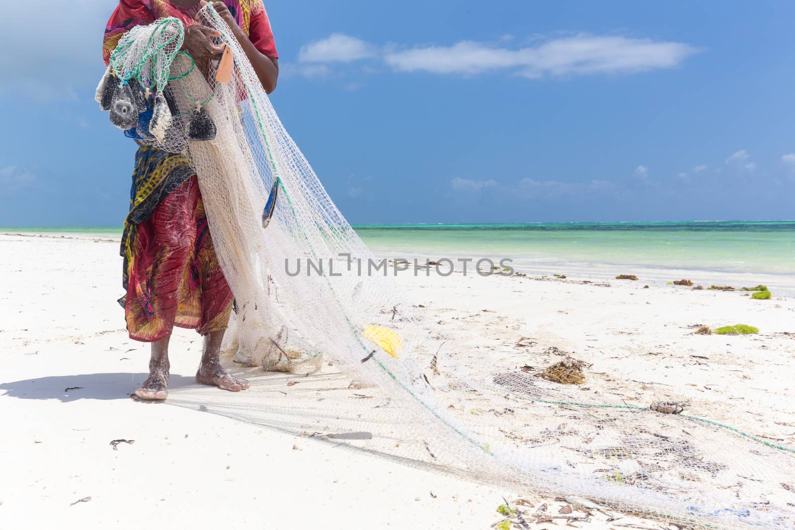 Traditional african local rural fishing on Paje beach, Zanzibar, Tanzania. Traditionally dressed local woman pulling fishing net, catching small fish.