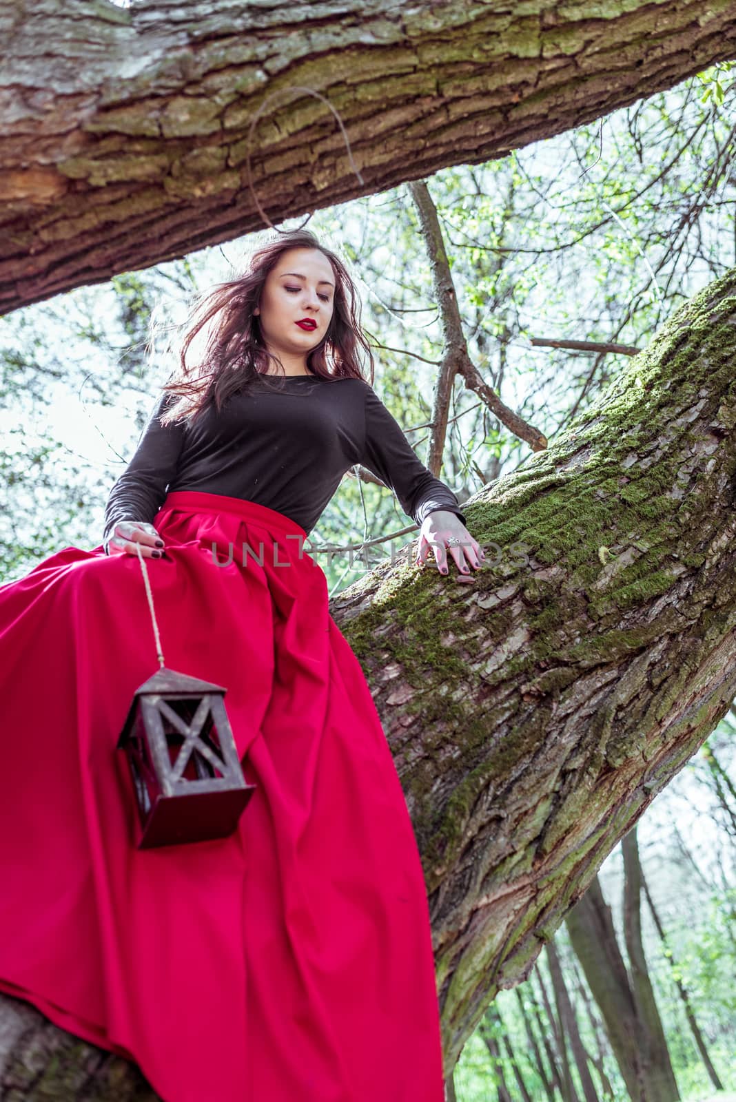 beautiful woman in a red dress with a lantern sits on a trunk in the forest