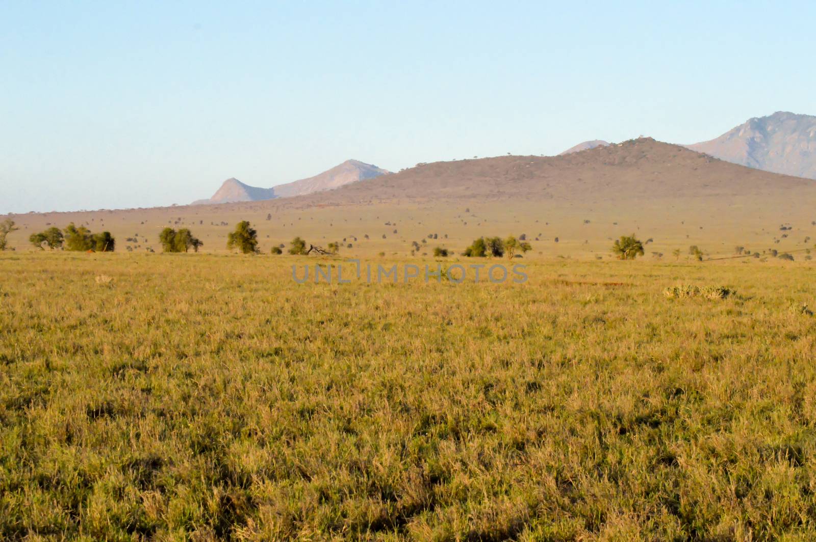 View of the Tsavo East savannah in Kenya with the mountains in the background