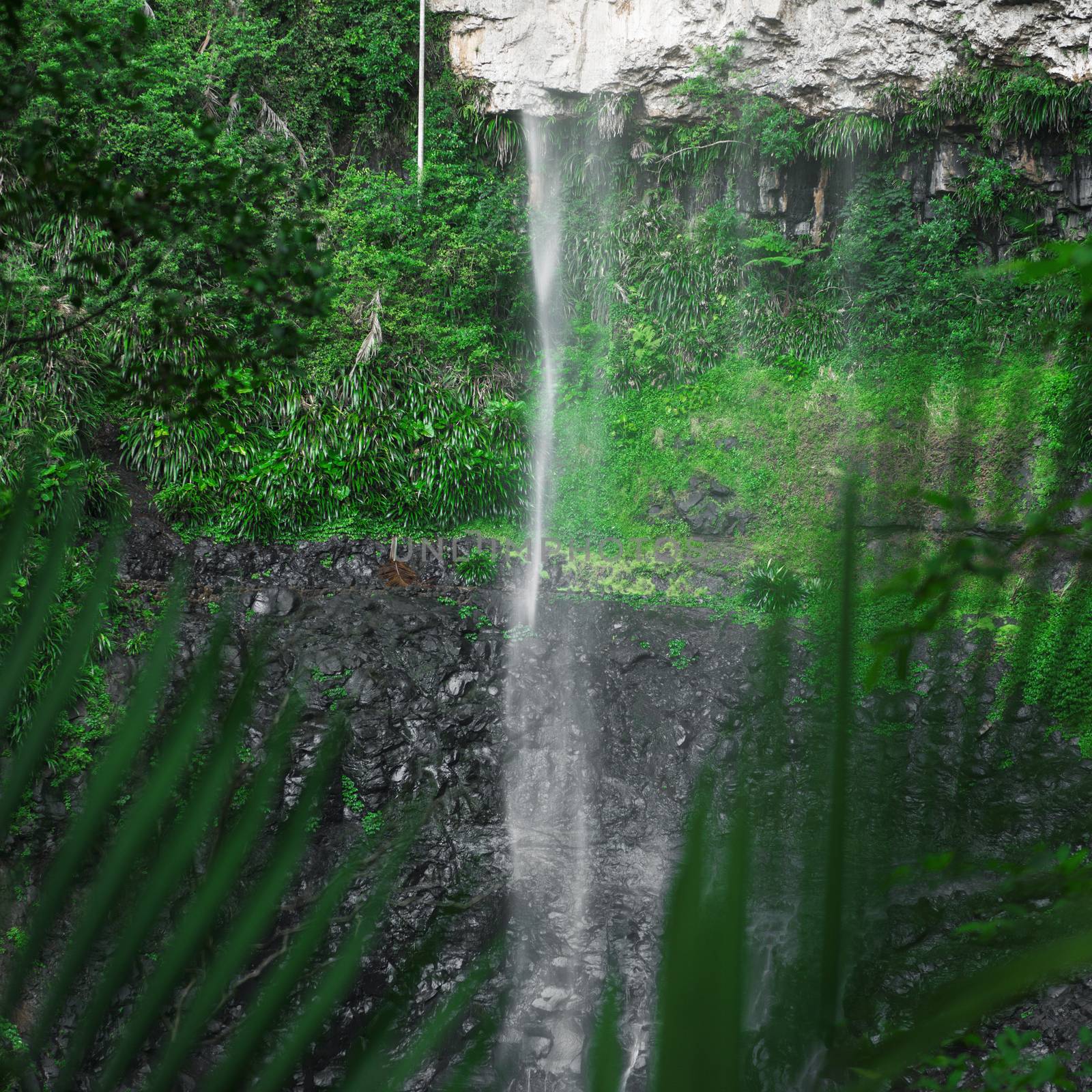 Purlingbrook Falls in Springbrook by artistrobd
