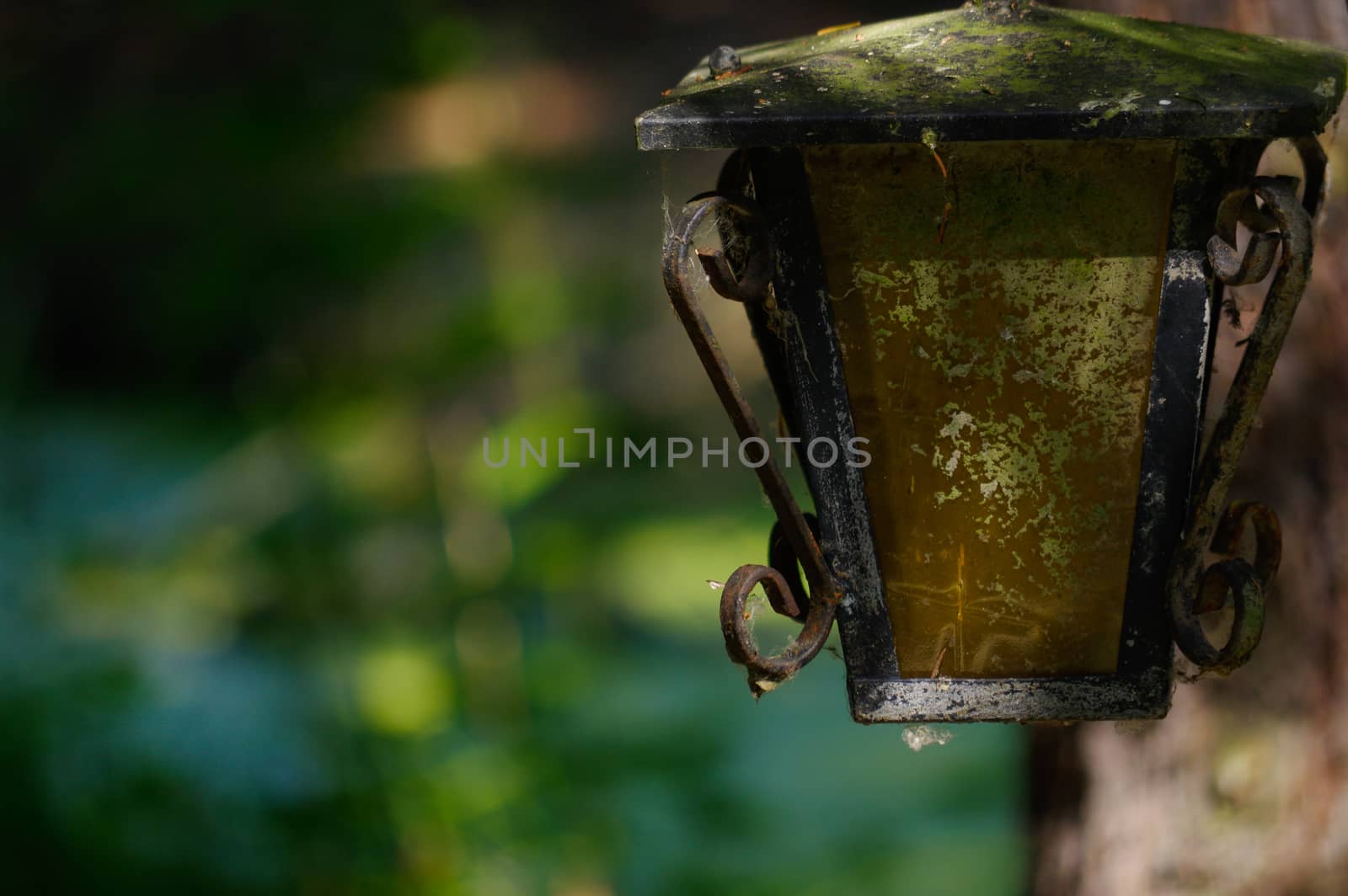 a vintage style street light with crown on the top. Beautiful historical retro metal Streetlight on green tree background.