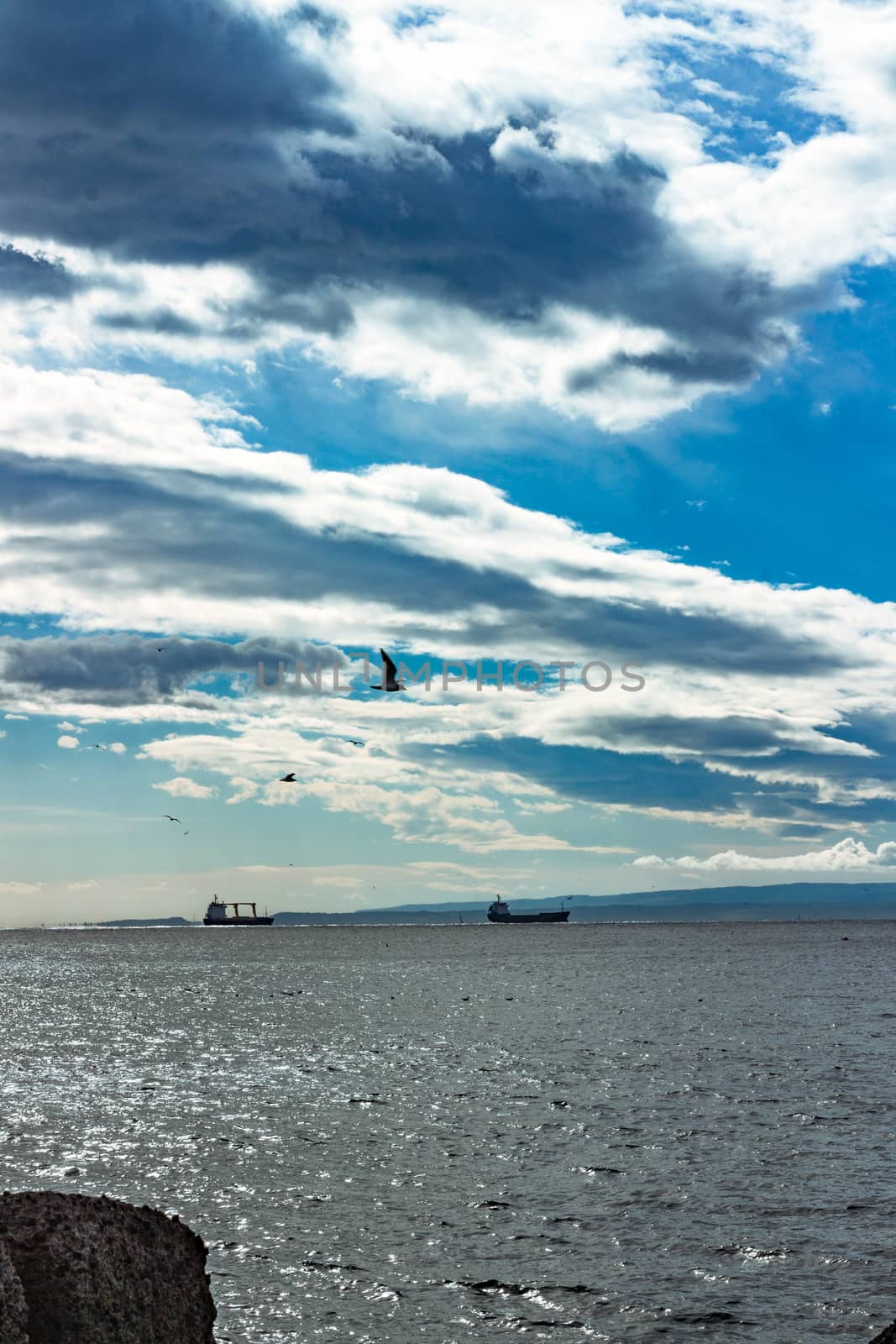 Cargo ships and seagulls on a spring day in the Mediterranean Sea