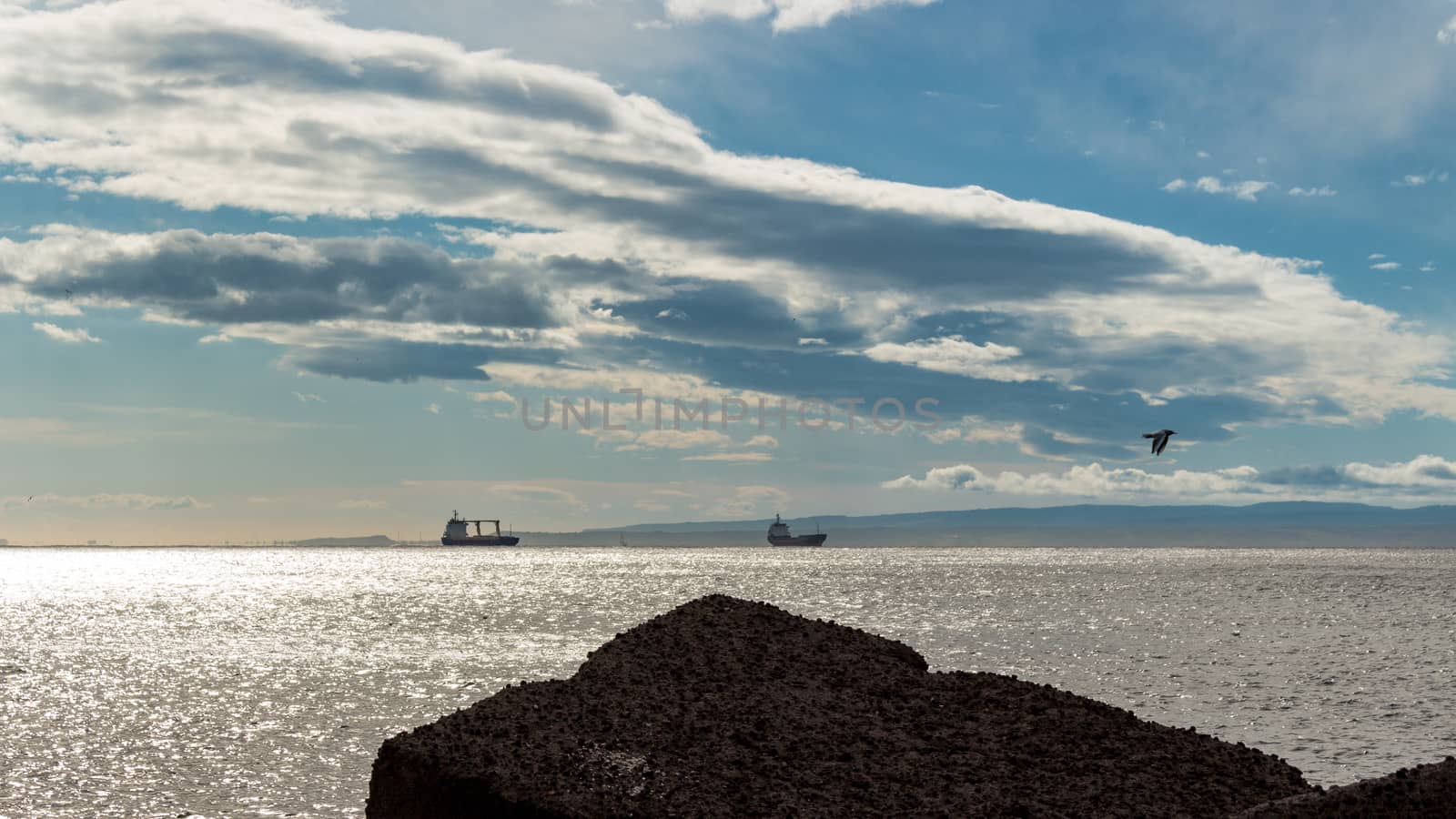 Cargo ships and seagulls on a spring day in the Mediterranean Sea