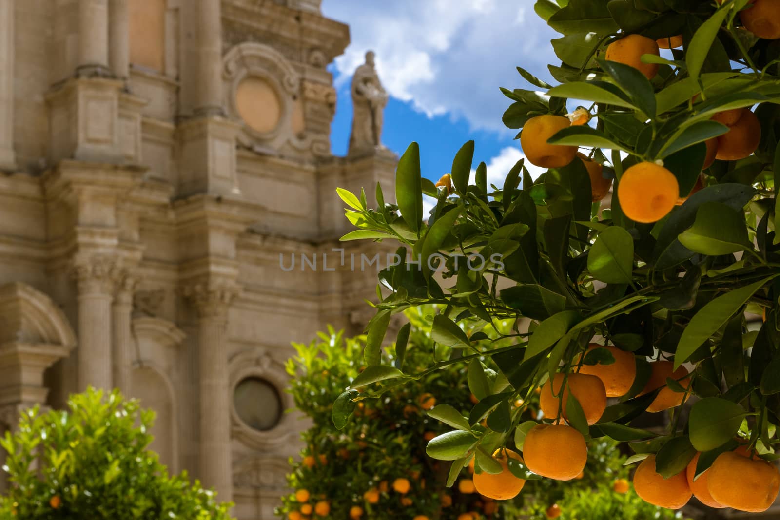 orange trees on the square of a Sicilian church