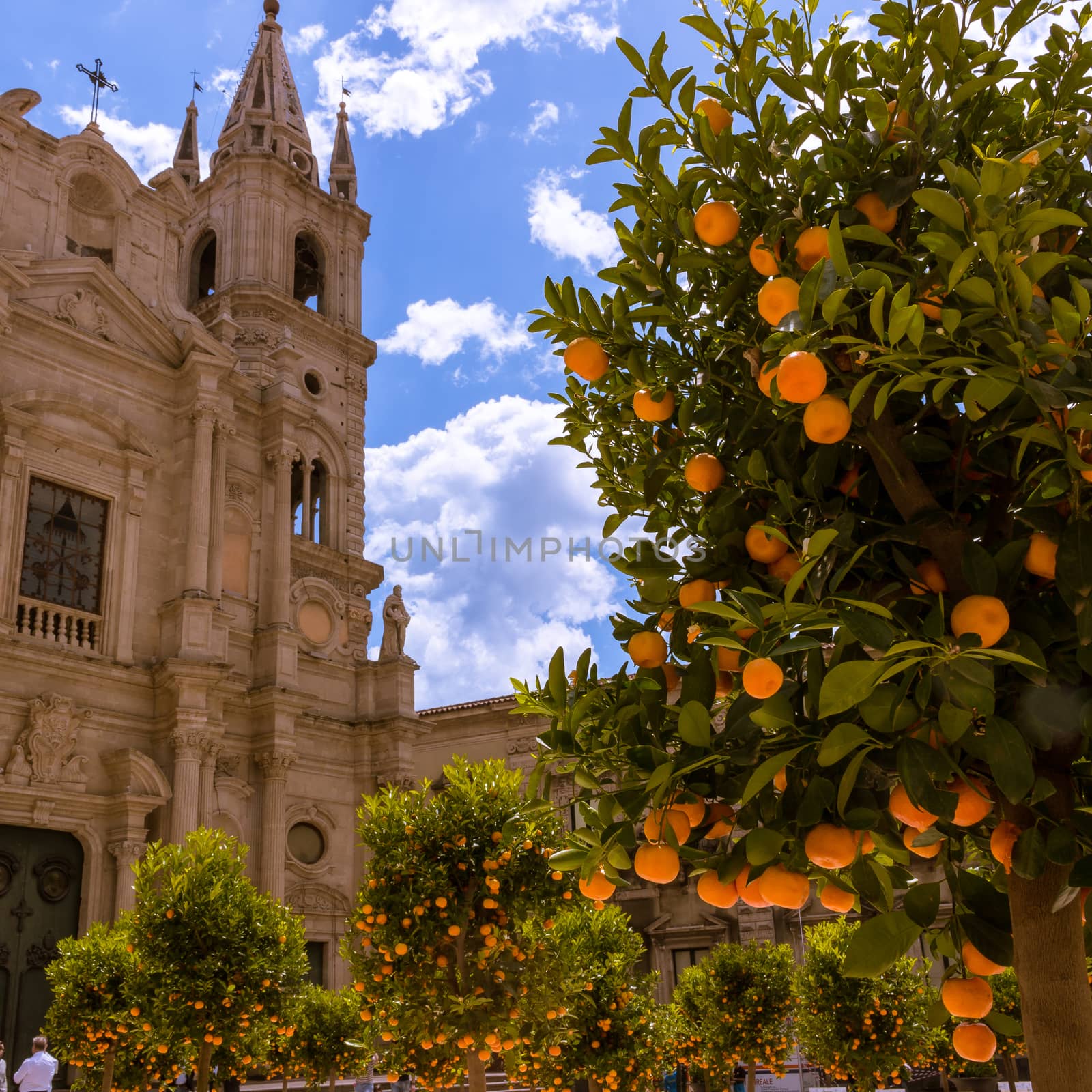 orange trees on the square of a Sicilian church