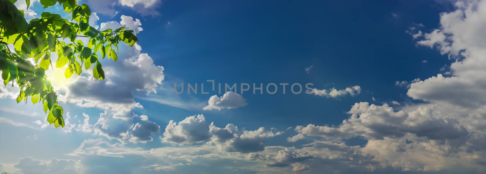 Sky panorama with the cumulus clouds and sun rays from behind the branches of the hornbeam and clouds in the left side
