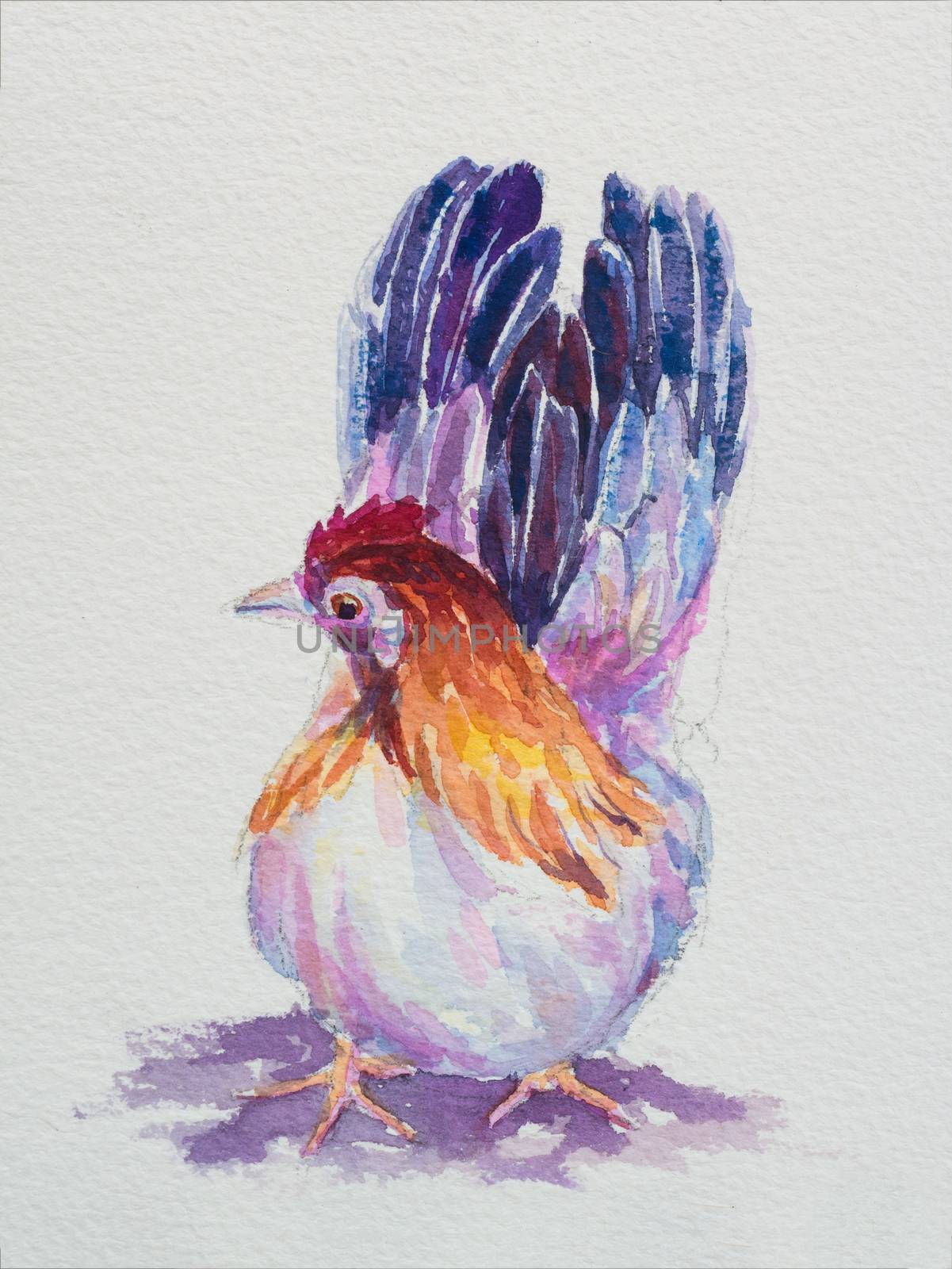 Hand painted watercolor of female bantam on paper