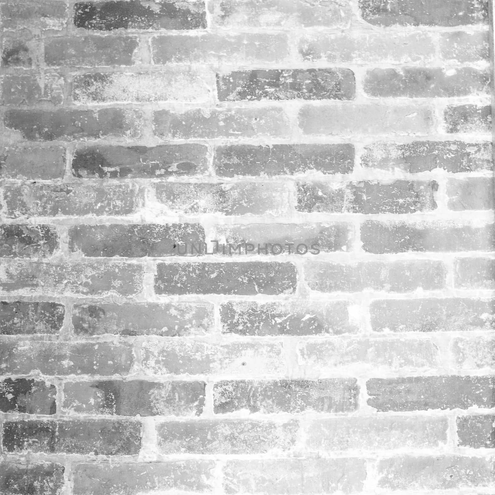 Grunge Black and white  brick wall by Suriyaphoto