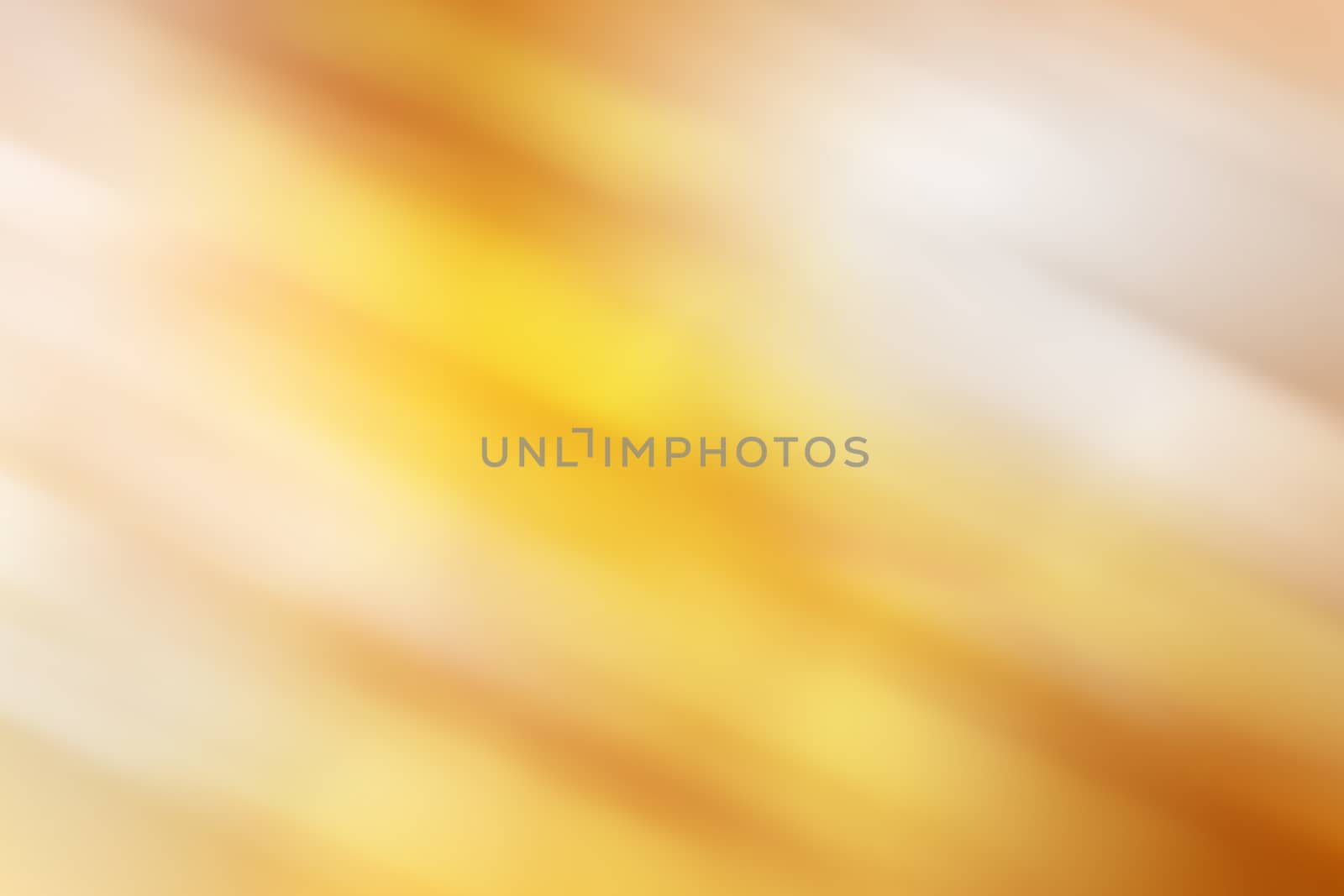 abstract background with bokeh defocused lights and shadow. by dfrsce