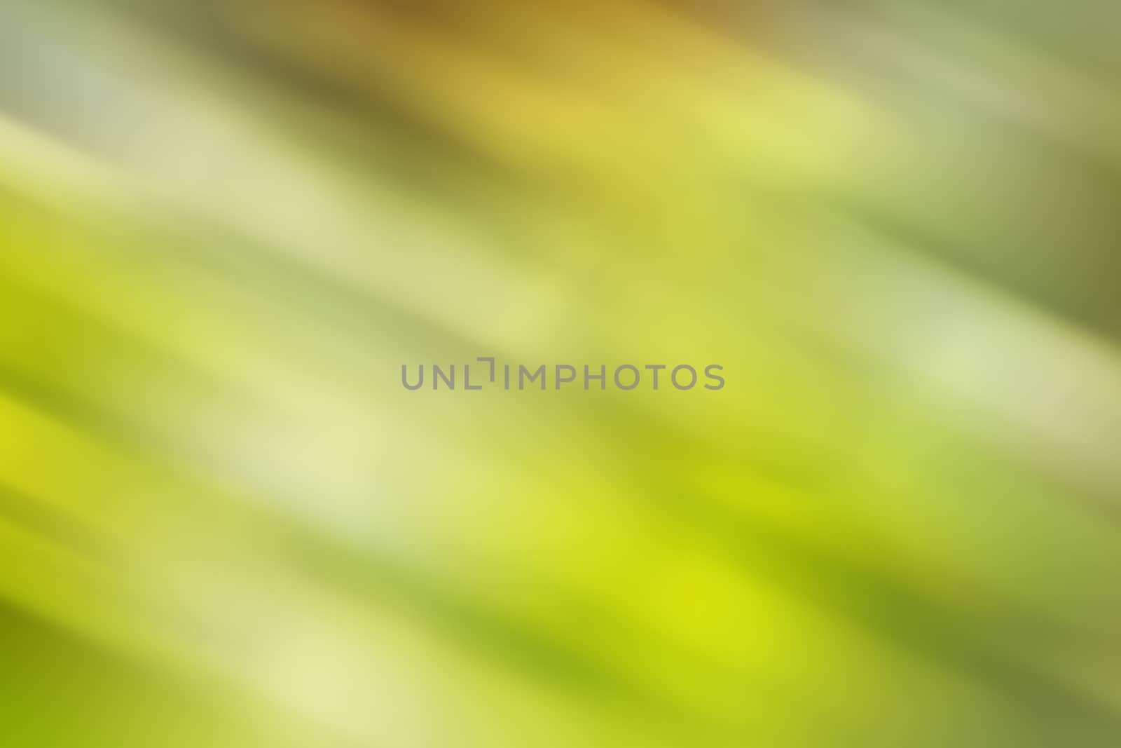 abstract background with bokeh defocused lights and shadow. by dfrsce