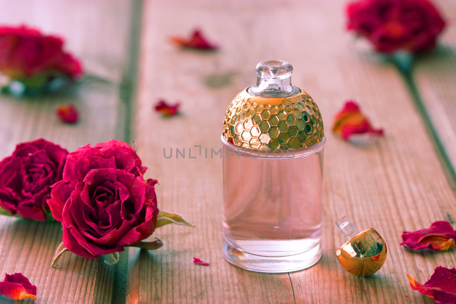 perfume bottle and pink roses on wooden table