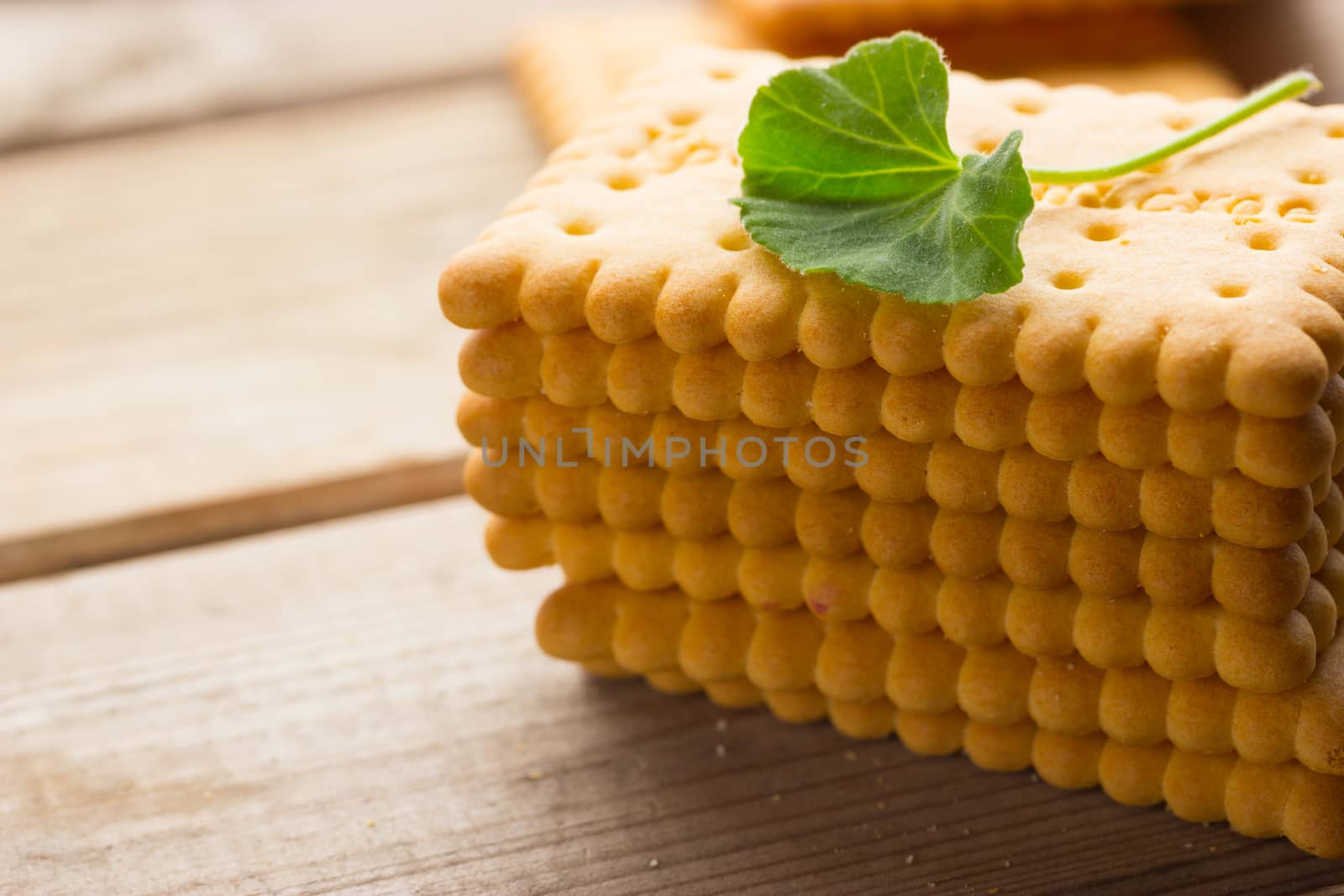 cookies with mint on rustic wooden background