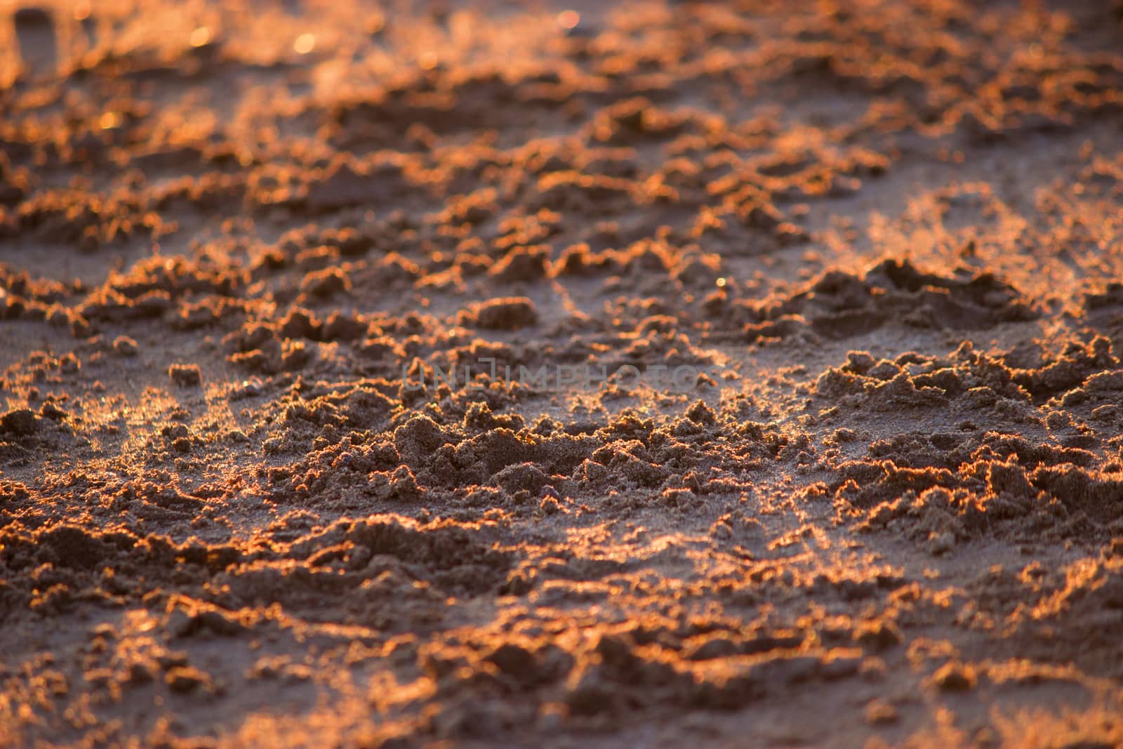 Close up beach sand background in warm sunset ligth