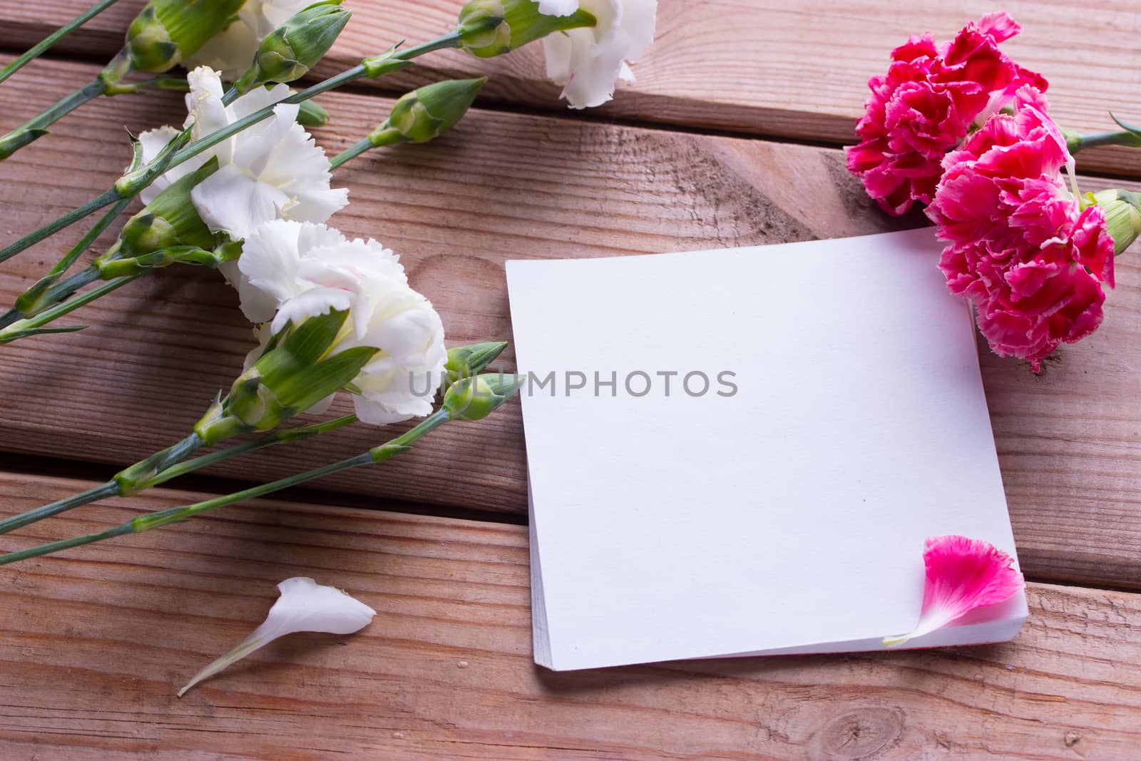 flowers and piece of paper. brithday wedding mock up