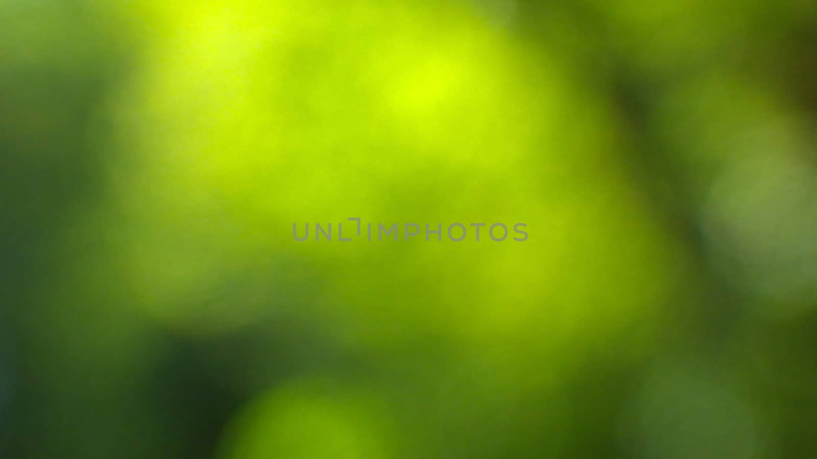 Green blurred background and sunlight on it by evolutionnow
