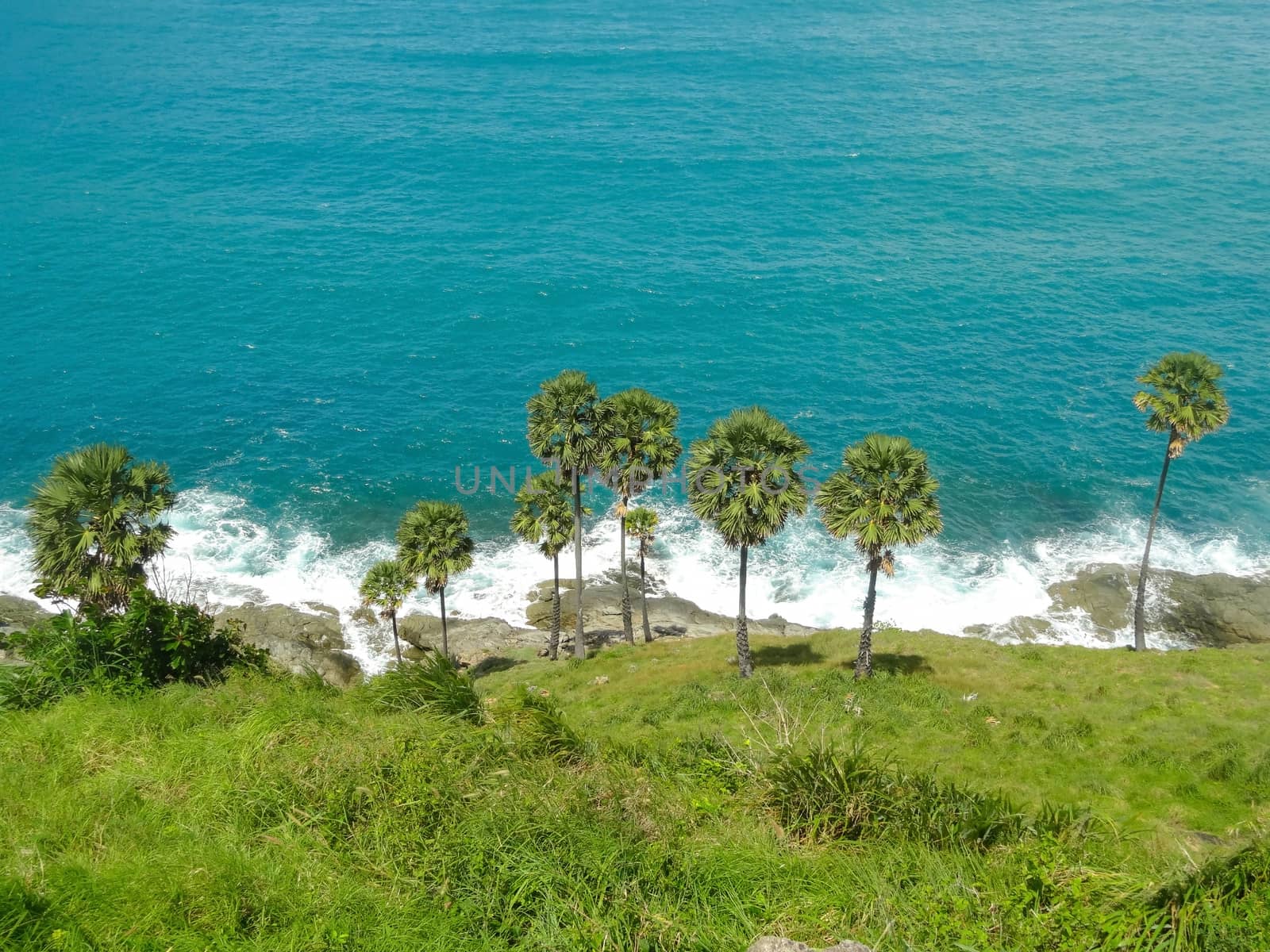 a beach with green palms and blue sky on background. Phuket, Thailand.