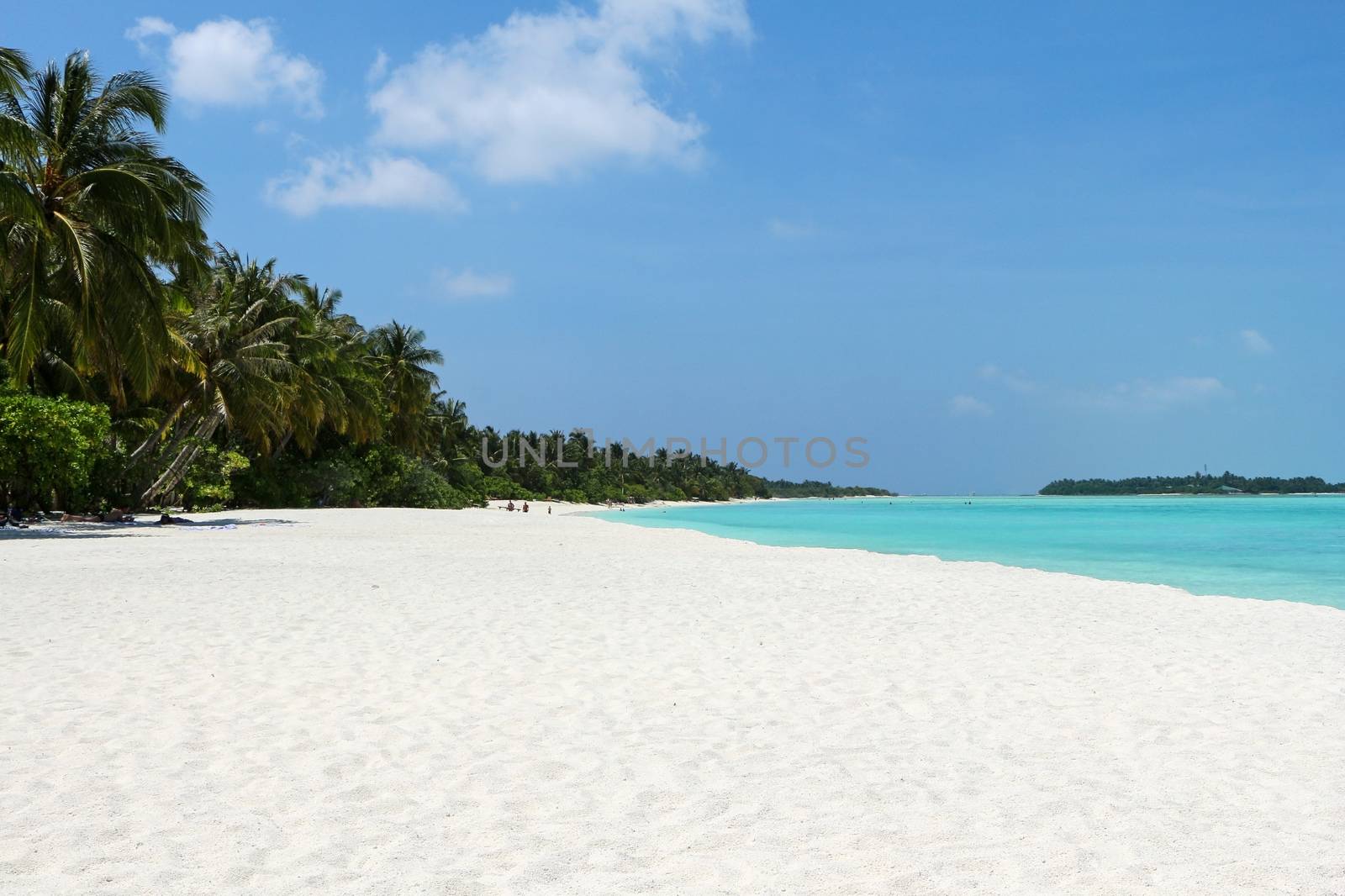 white beach with coconut palms and water on the Maldives by evolutionnow